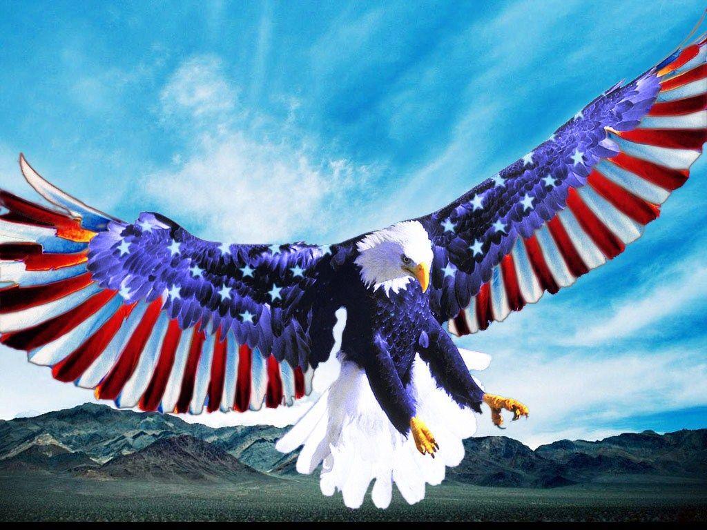 1024x768 American Eagle Wallpaper