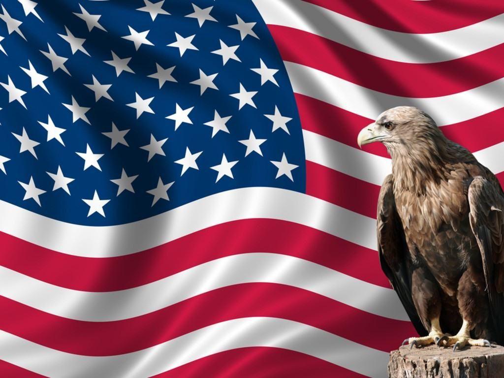 1024x768 american eagle wallpaper