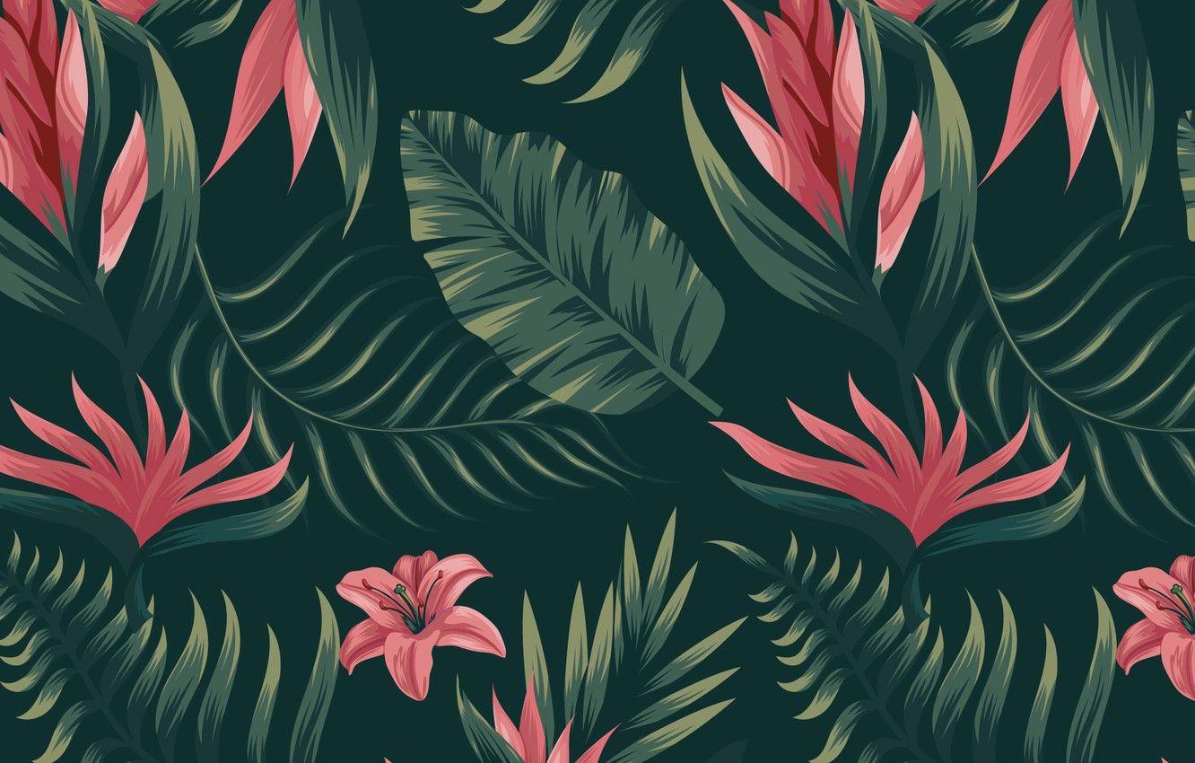 1332x850 Tropical Desktop Background