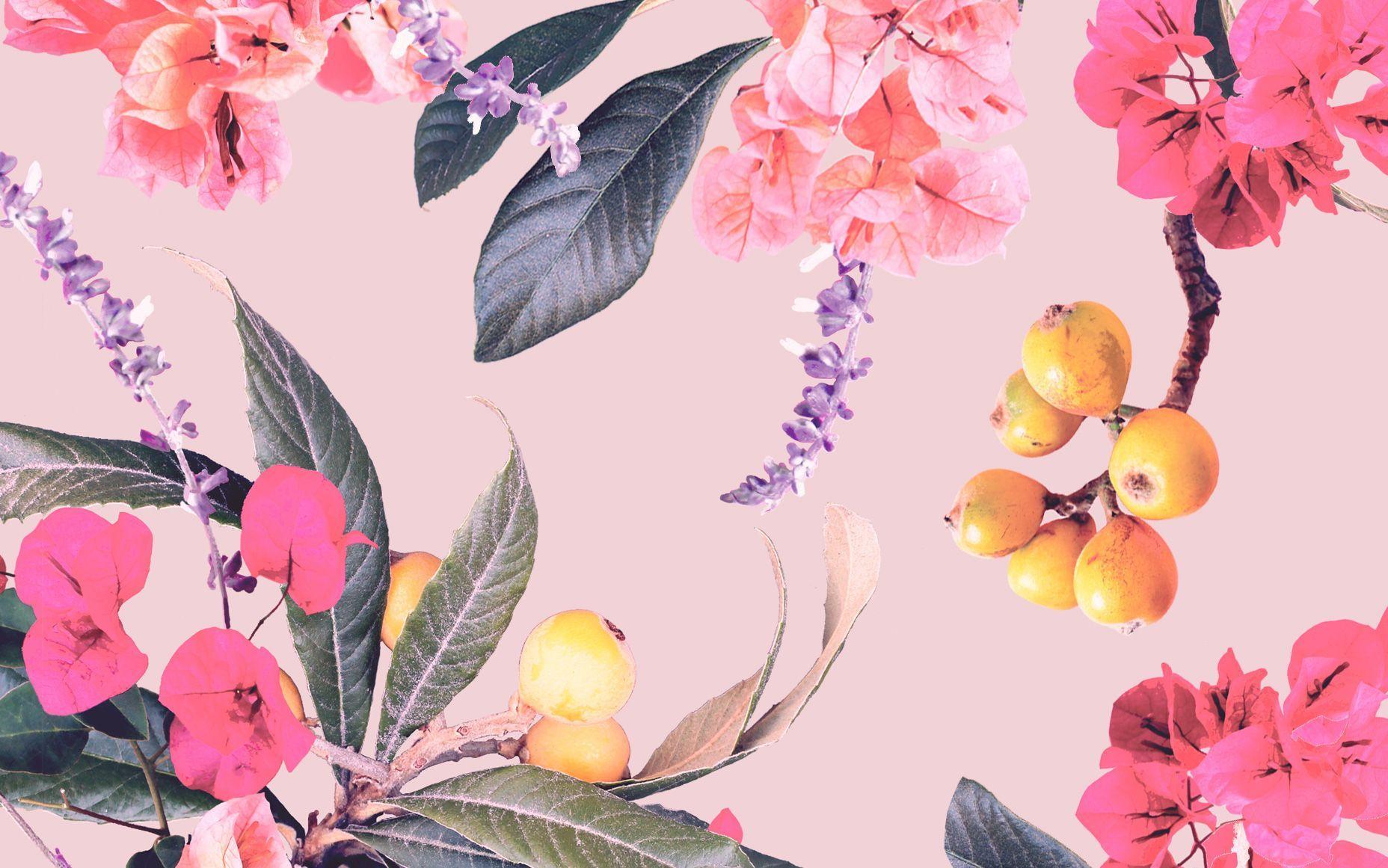 Floral Mac Wallpapers Top Free Floral Mac Backgrounds