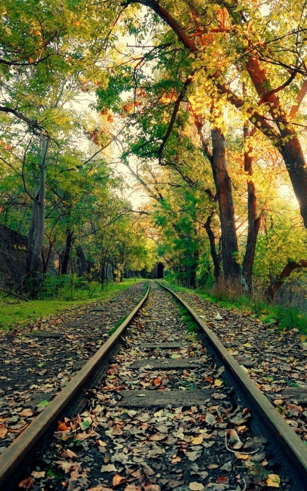 1000x1600 Armenia Yerevan Mobile Wallpaper