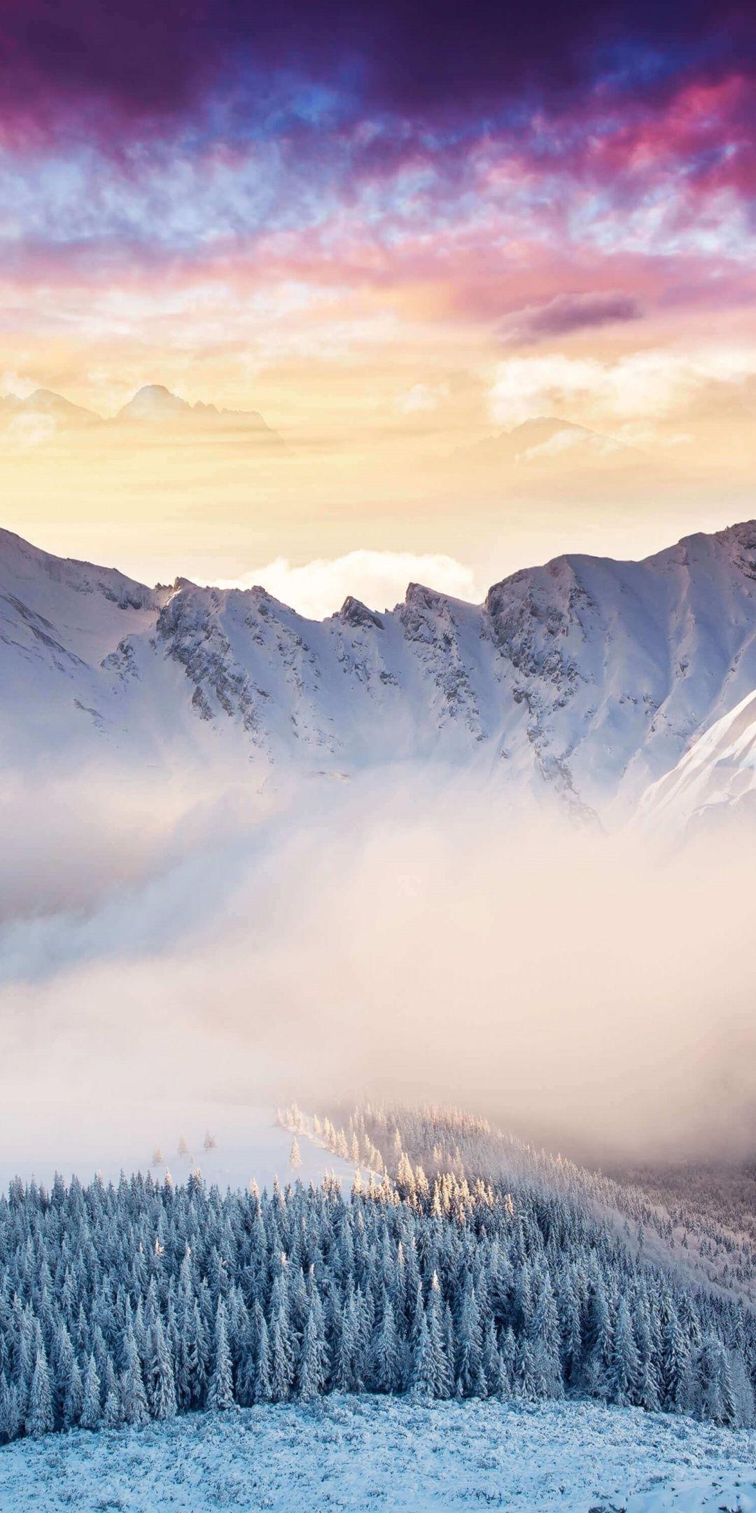 1080x2160 Landscape, mountains, winter, forest, clouds, 1080x2160 wallpaper. Landscape, Winter forest, Winter landscape