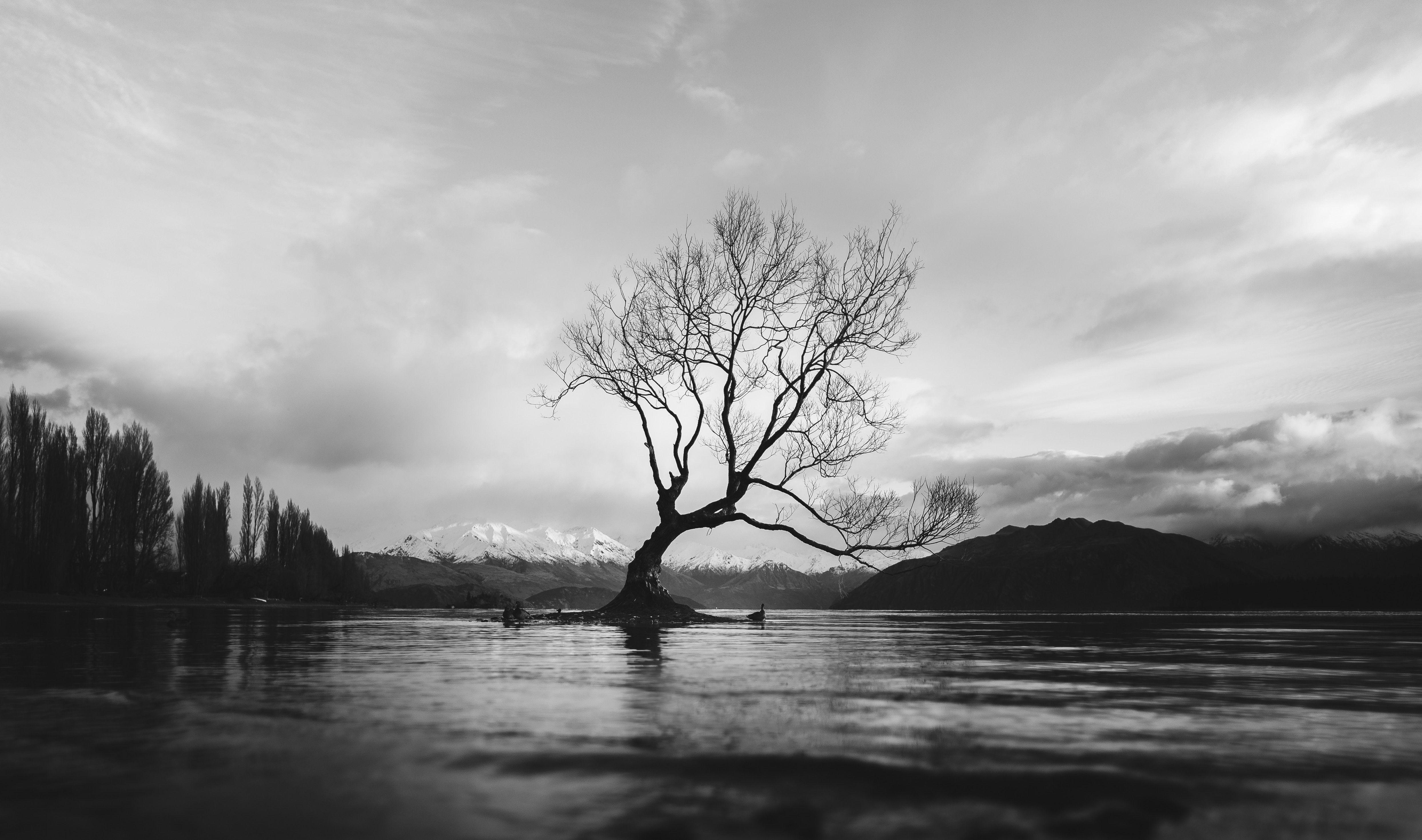 4975x2940 4975x2940 #cloudscape, #horror, #Free picture, #outdoors, #mountain, #creepy, #solitude, #bw, #nature, #new zealand, #wanaka, #calm, # winter, #lake, #duck, #snowcap, #nz, #eerie. Mocah.org HD Desktop Wallpaper