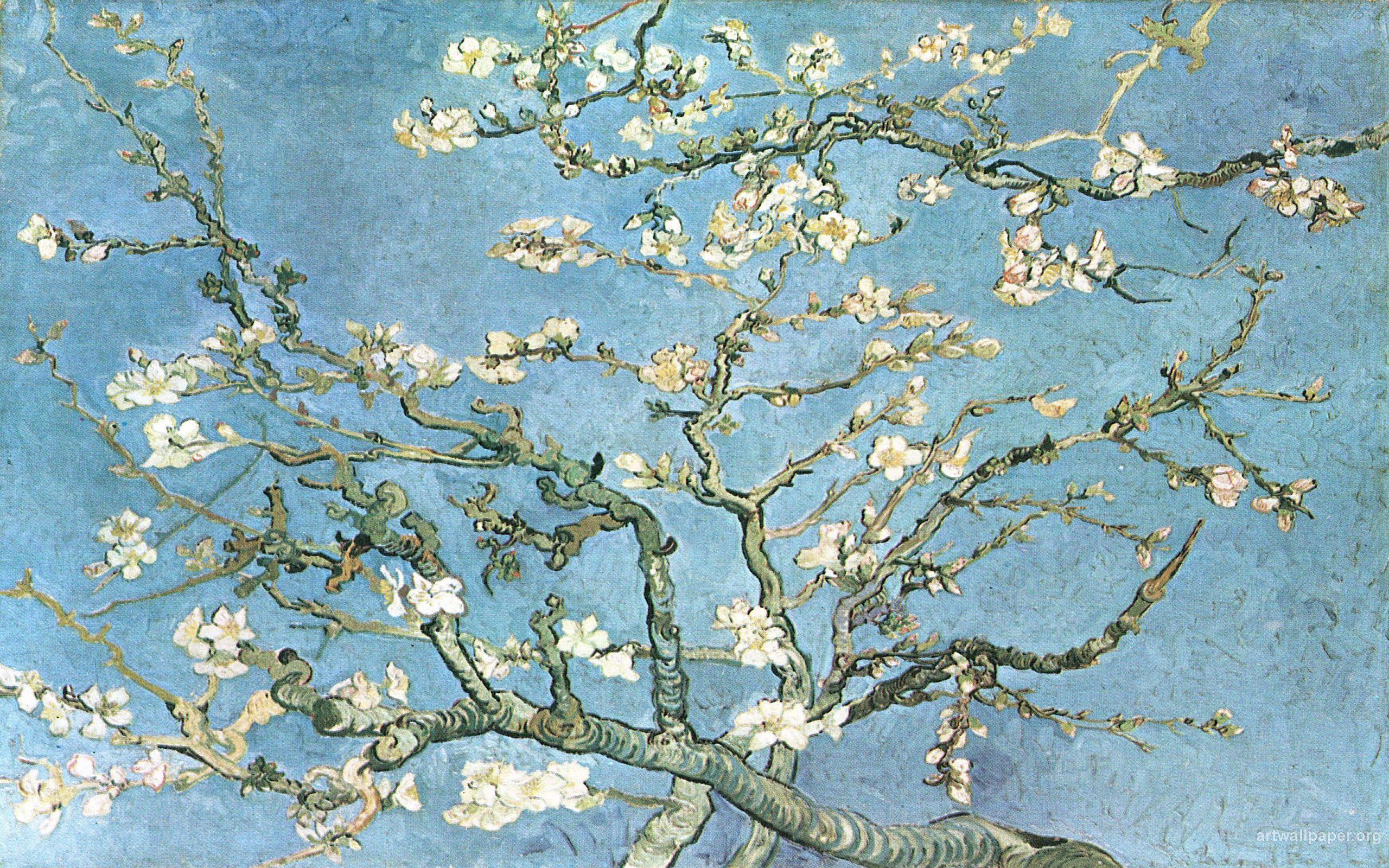 Almond Tree Van Gogh Wallpapers Top Free Almond Tree Van Gogh Backgrounds Wallpaperaccess