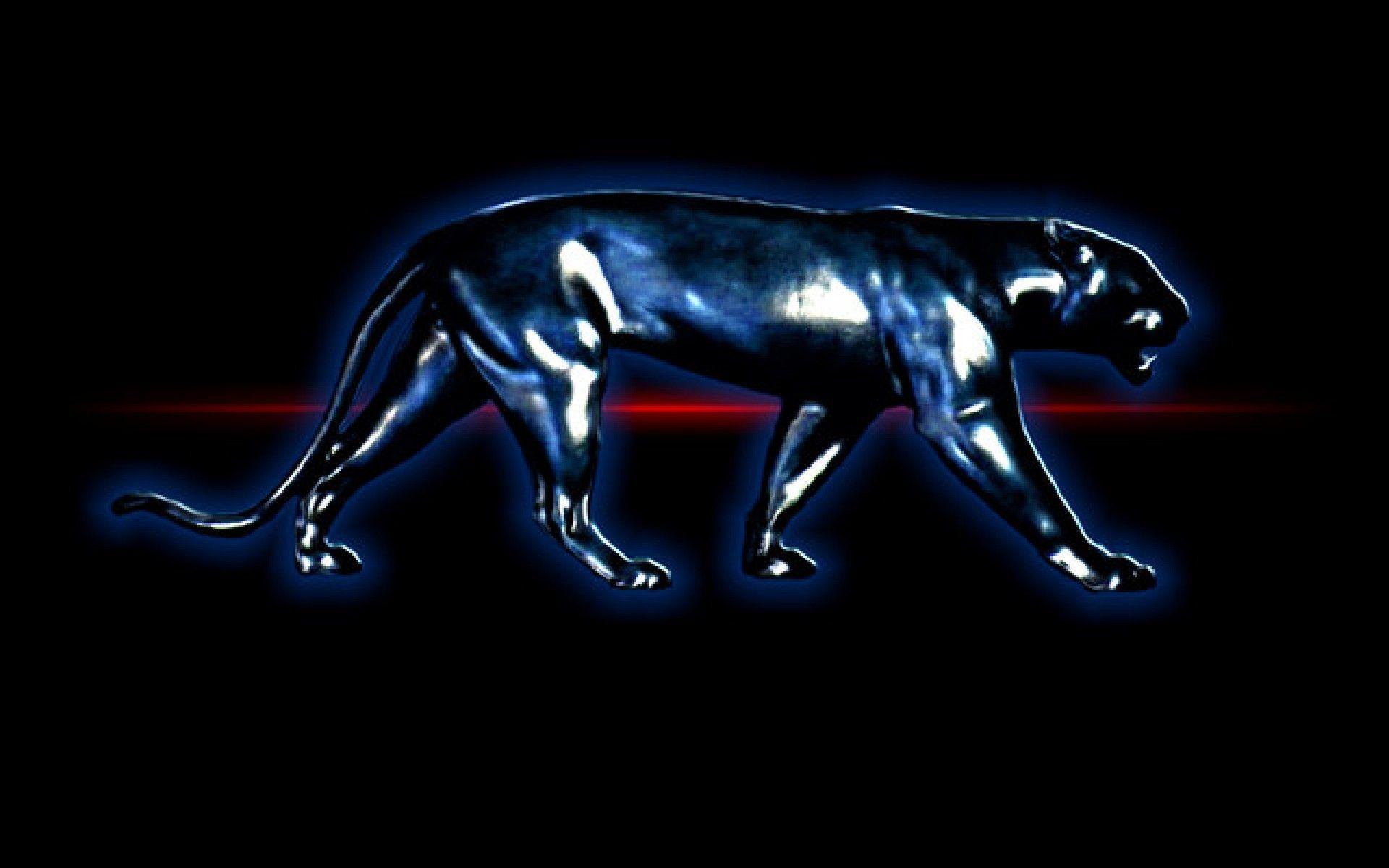 Download Panther wallpapers for mobile phone free Panther HD pictures