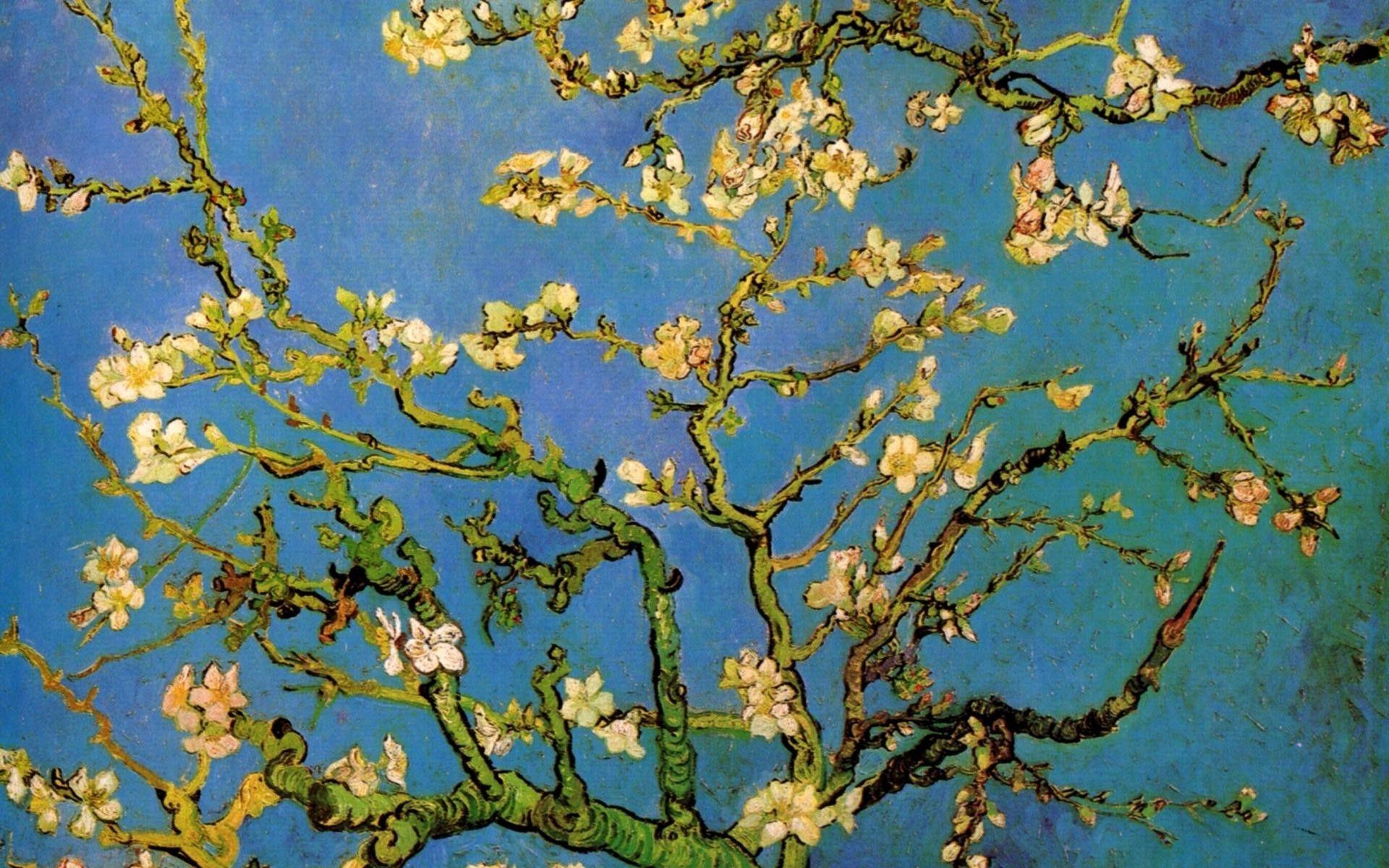 Almond Tree Van Gogh Wallpapers - Top Free Almond Tree Van Gogh