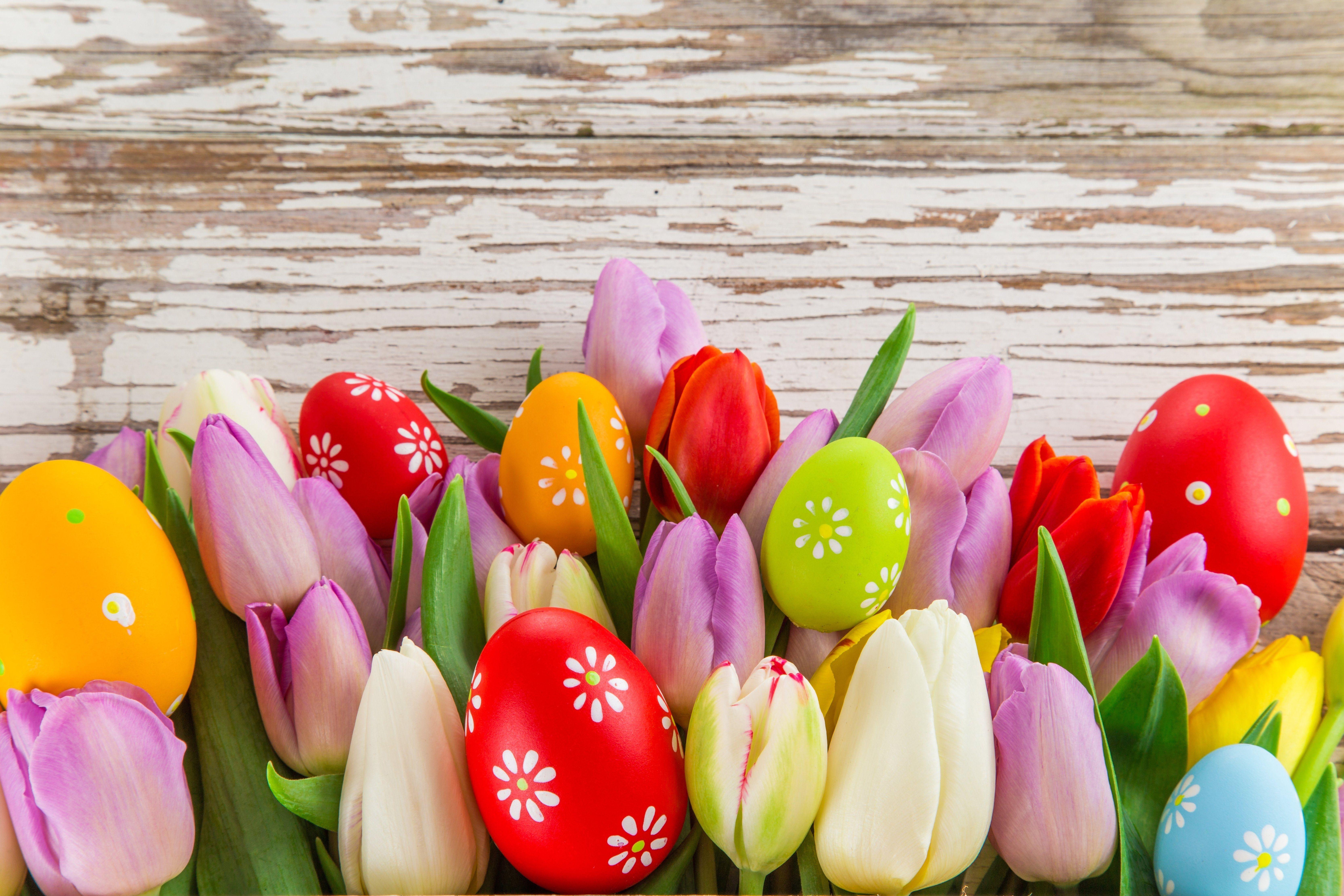 Happy Easter Flowers Desktop Wallpapers - Top Free Happy Easter Flowers  Desktop Backgrounds - WallpaperAccess