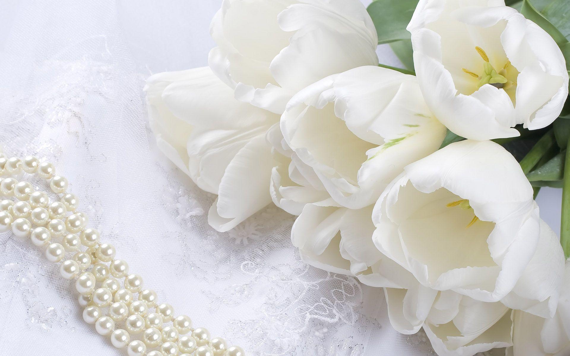 1920x1200 Free download white flowers HD wallpaper wedding flowers desktop image [1920x1200] for your Desktop, Mobile & Tablet. Explore White Roses Background. White Rose Wallpaper, White Roses Wallpaper for Desktop