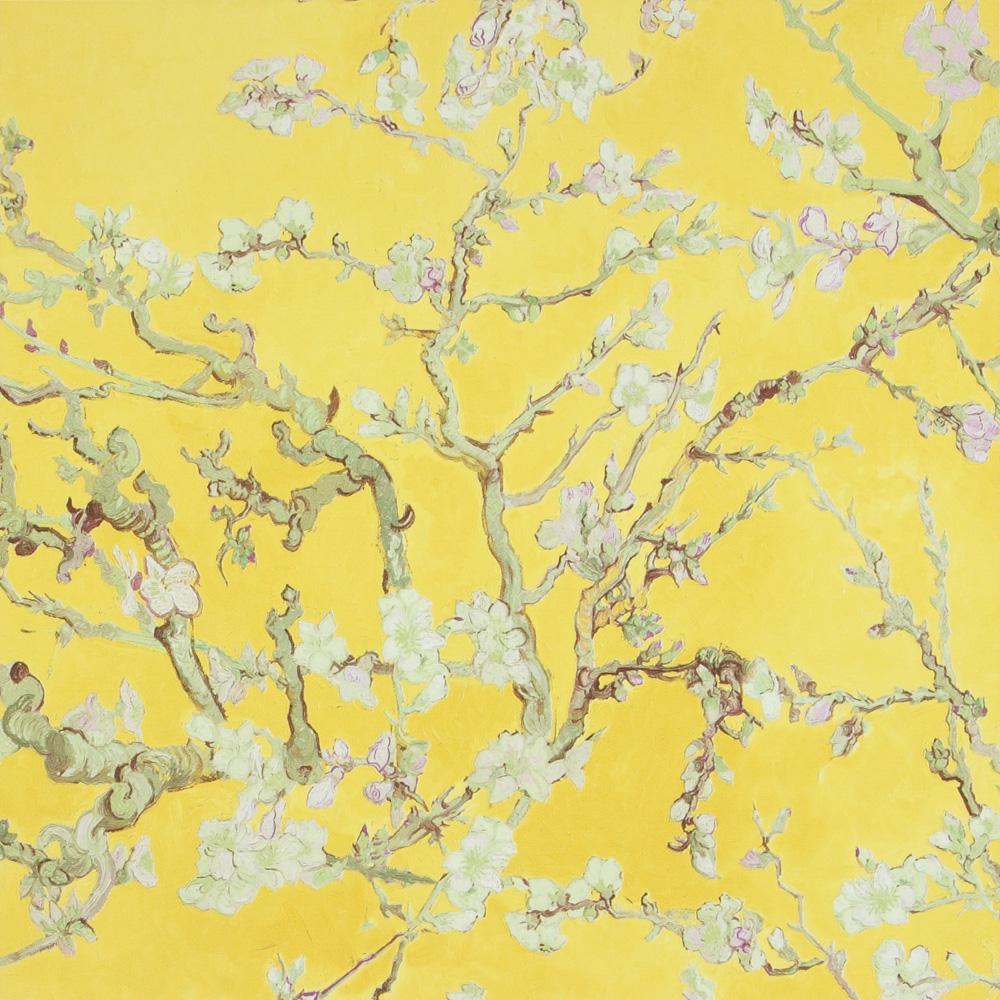 1000x1000 Almond Blossom R2791 • Walls Republic US