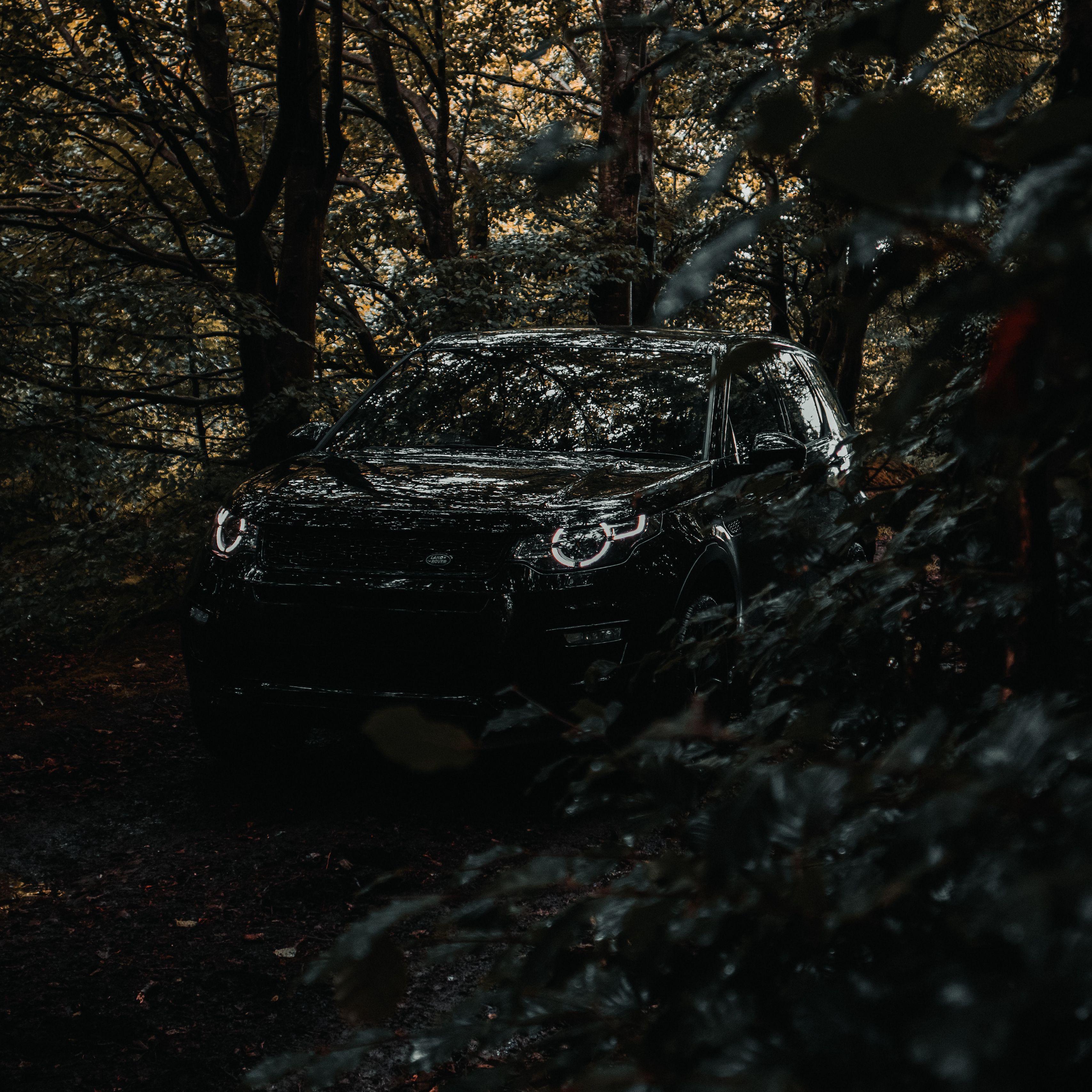 3415x3415 Download wallpaper 3415x3415 land rover discovery land rover, jeep, car, forest ipad pro 12.9 retina for parallax HD background