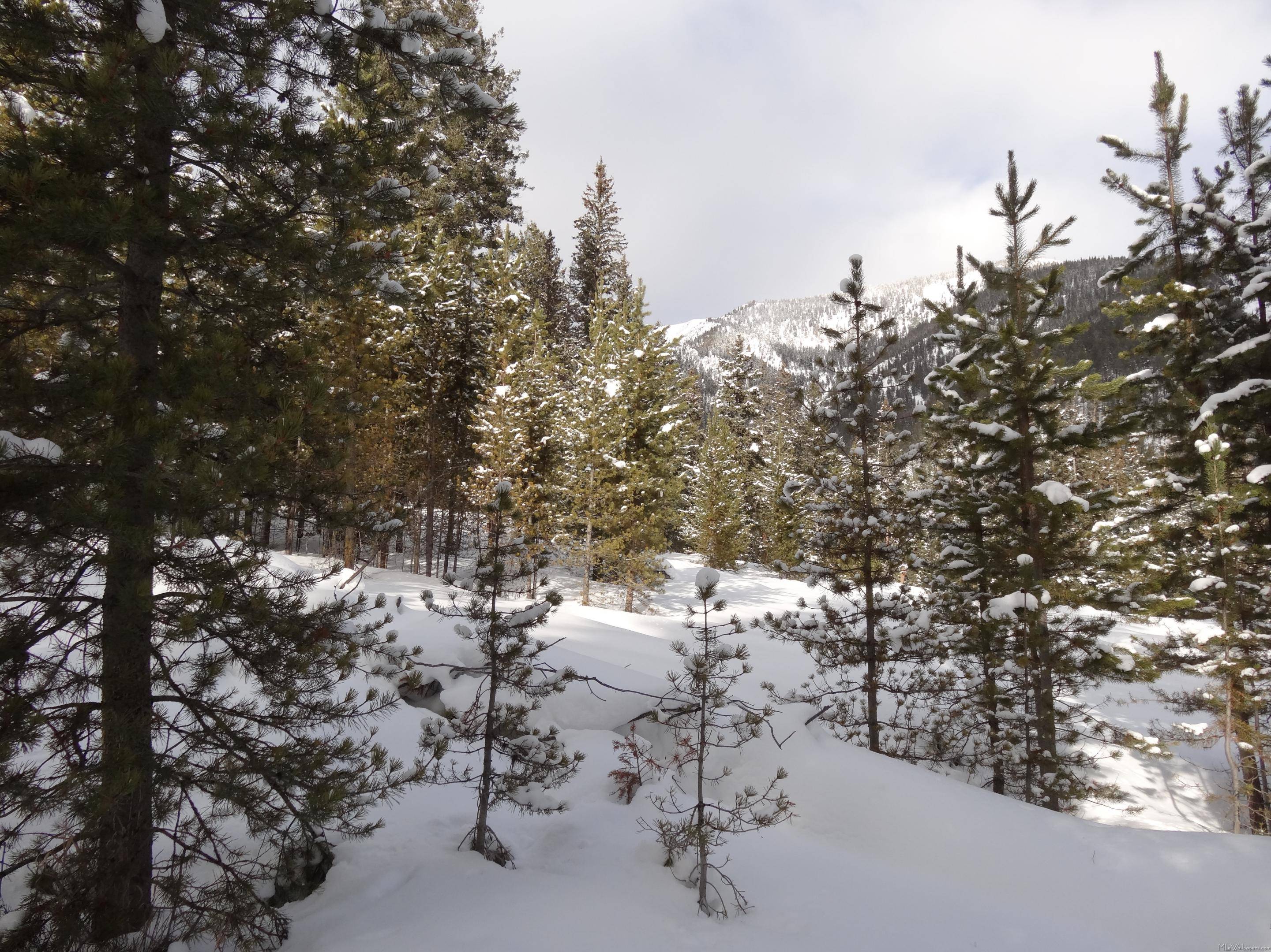 Montana Winter Wallpapers - Top Free Montana Winter Backgrounds ...