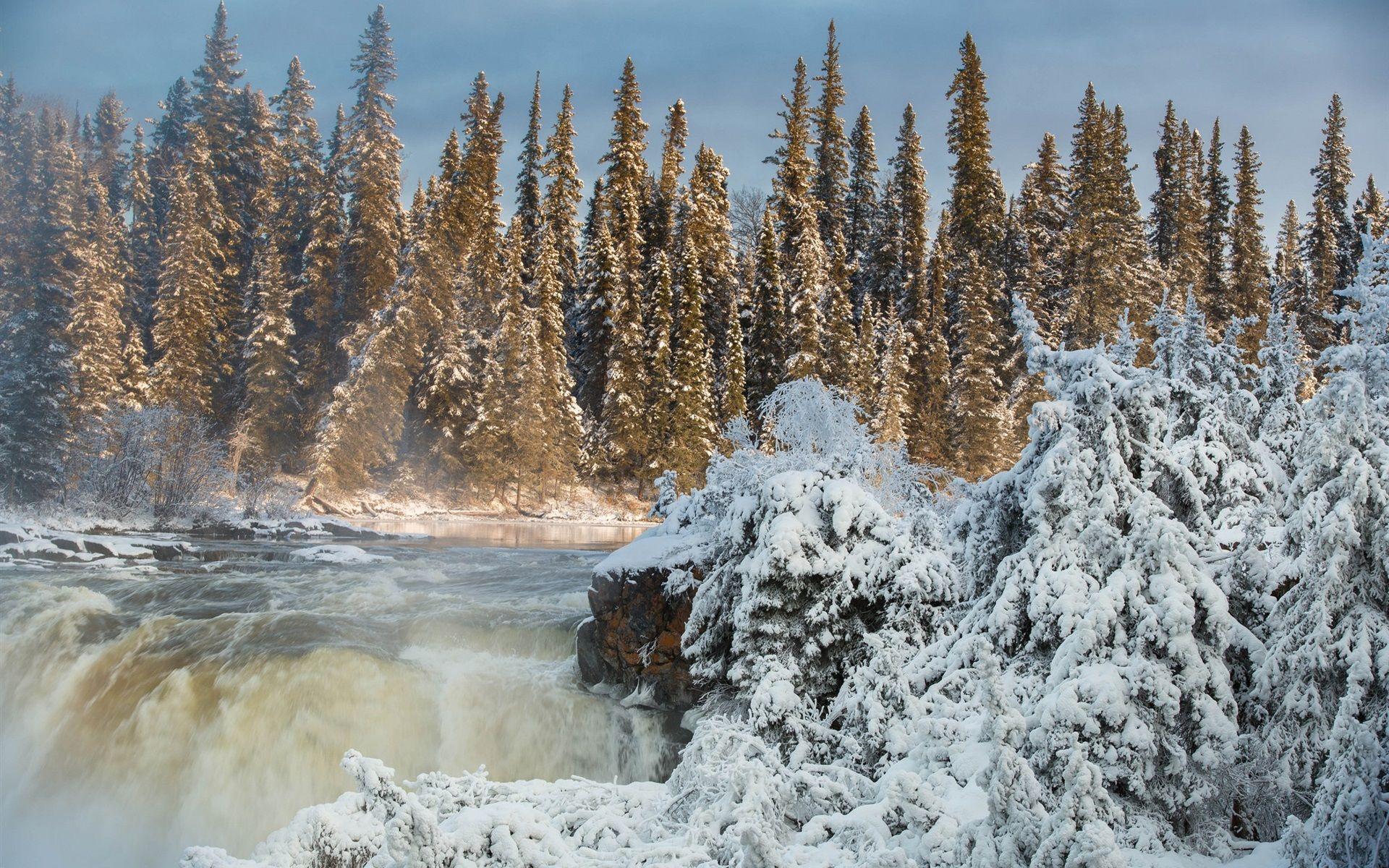 1920x1200 Canada, Manitoba, Pisew Falls, Trees, Snow, Winter 640x1136 IPhone 5 5S 5C SE Wallpaper, Background, Picture, Image
