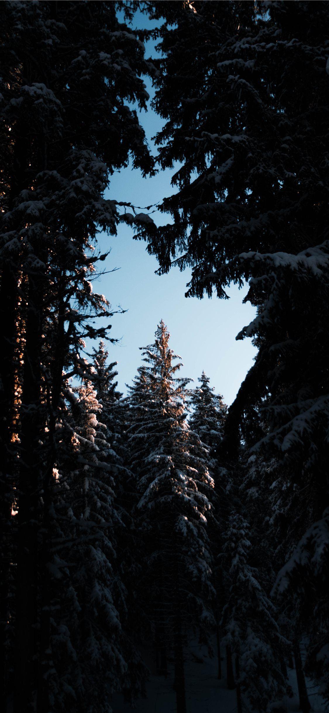 1125x2436 Best Montana iPhone X HD Wallpaper