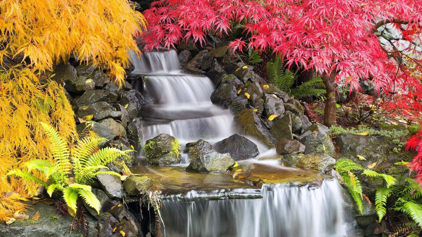 1366x768 Plants Garden Leaves Autumn Japanese Waterfall Trees Garden And Waterfall Wallpaper & Background Download