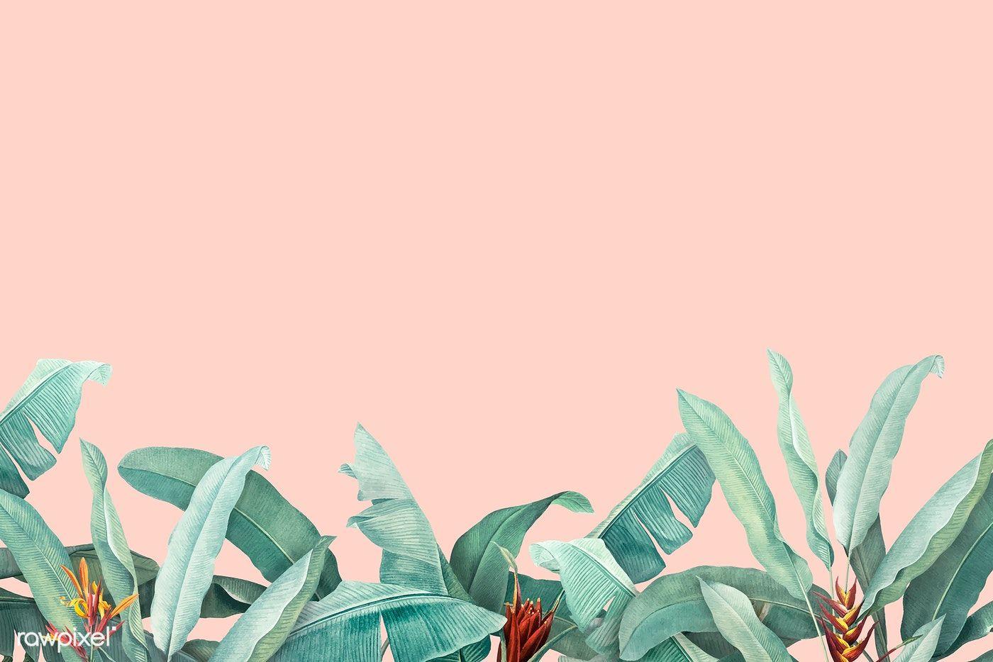 1400x934 Download premium vector of Hand drawn tropical leaves on a pastel pink. Pastel background, Pink wallpaper laptop, Pink wallpaper desktop
