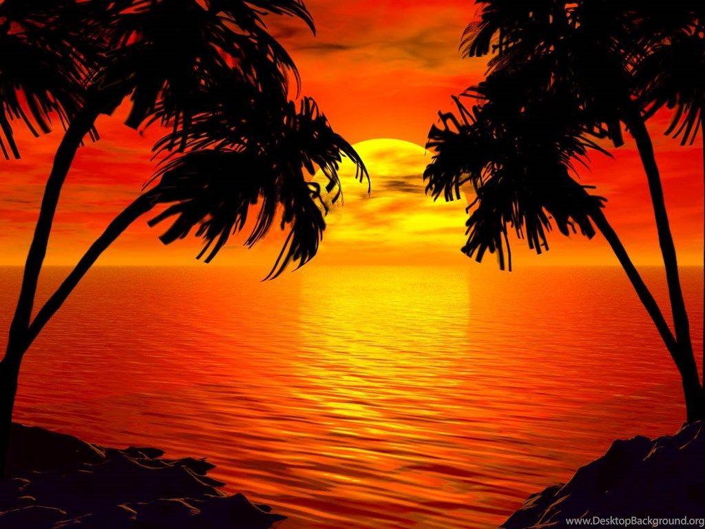 Tropical Color Wallpapers - Top Free Tropical Color Backgrounds