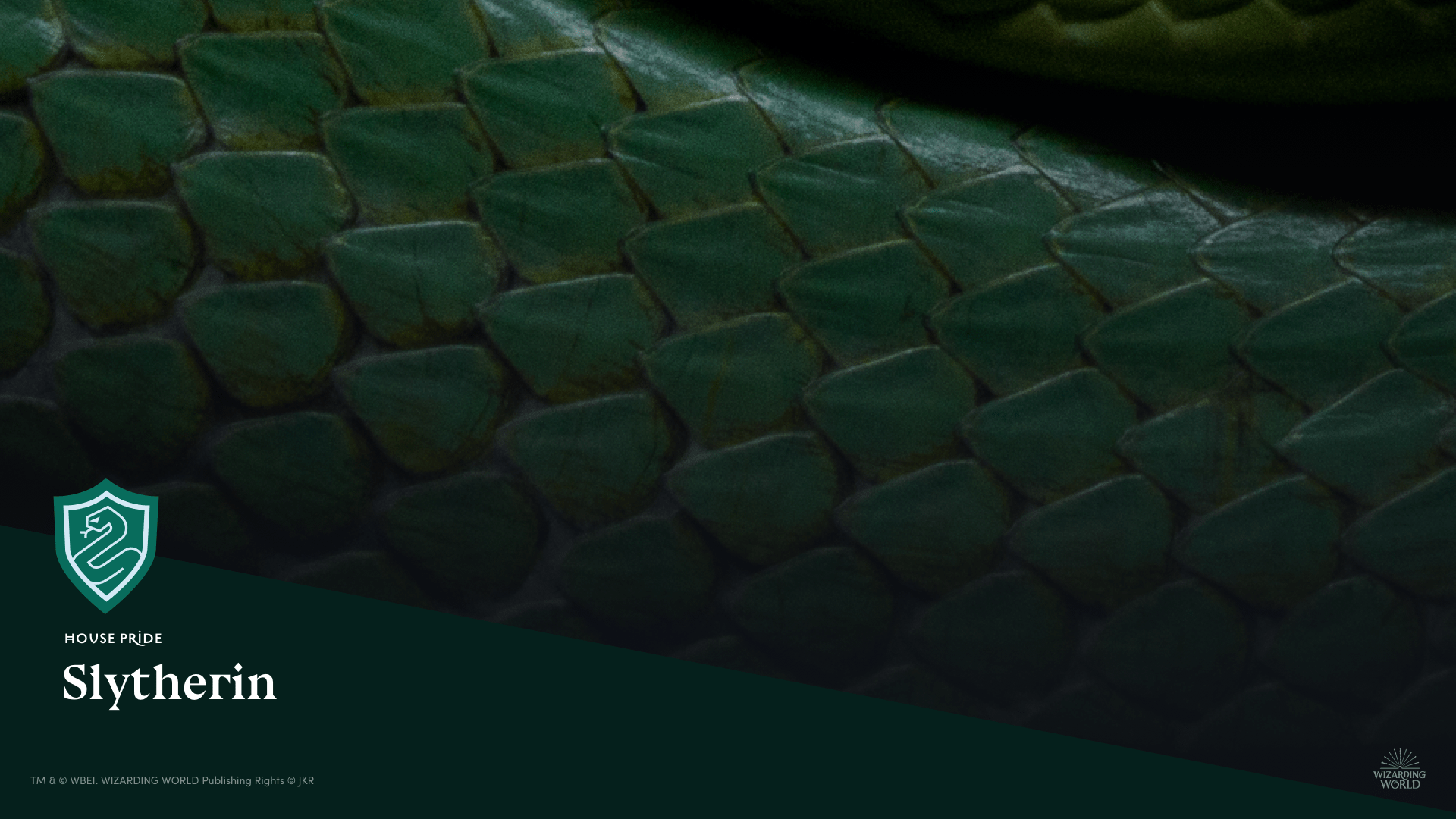1920x1080 Try out our new Harry Potter themed video call background