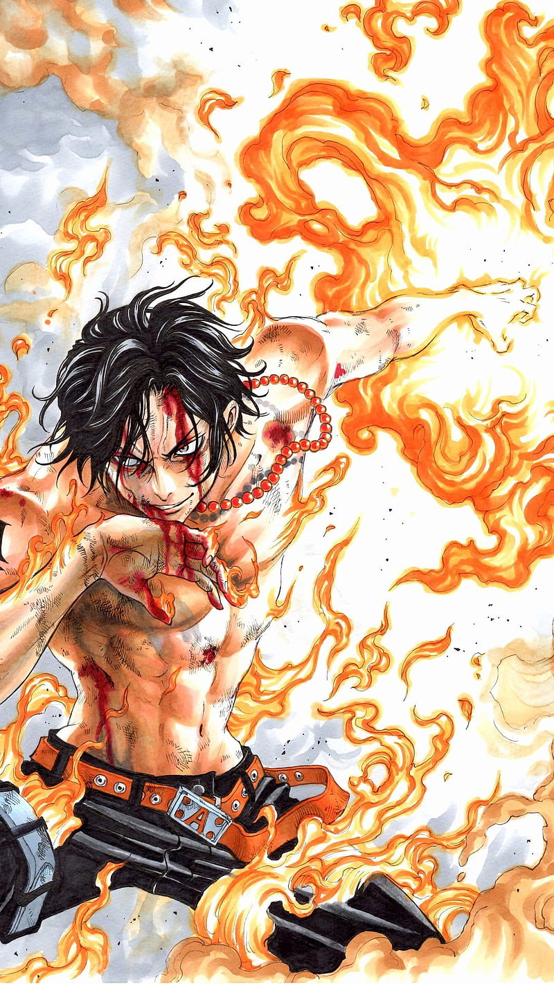 800x1422 One Piece iPhone, One Piece Anime, HD phone wallpaper