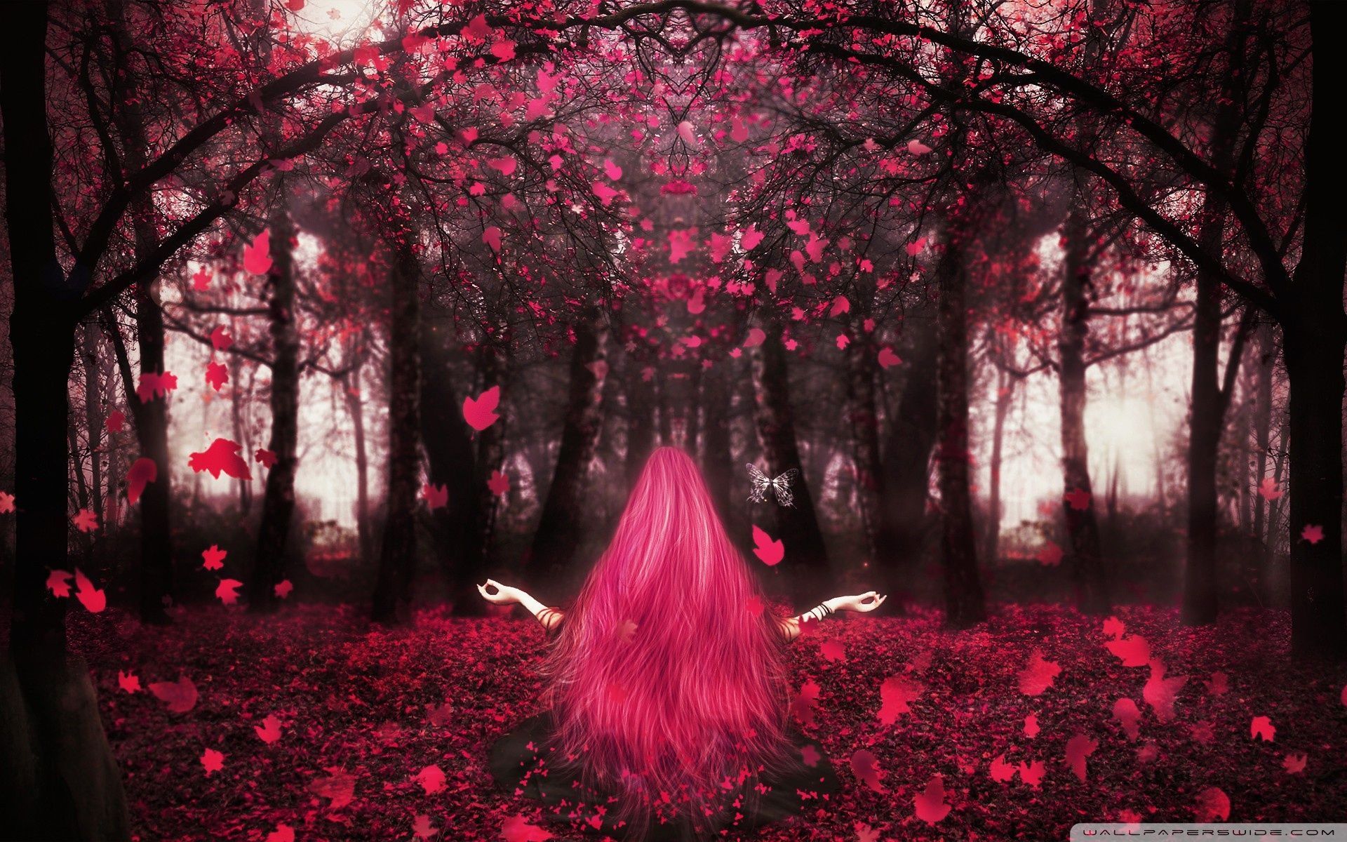 1920x1200 Magic Spring Wallpaper