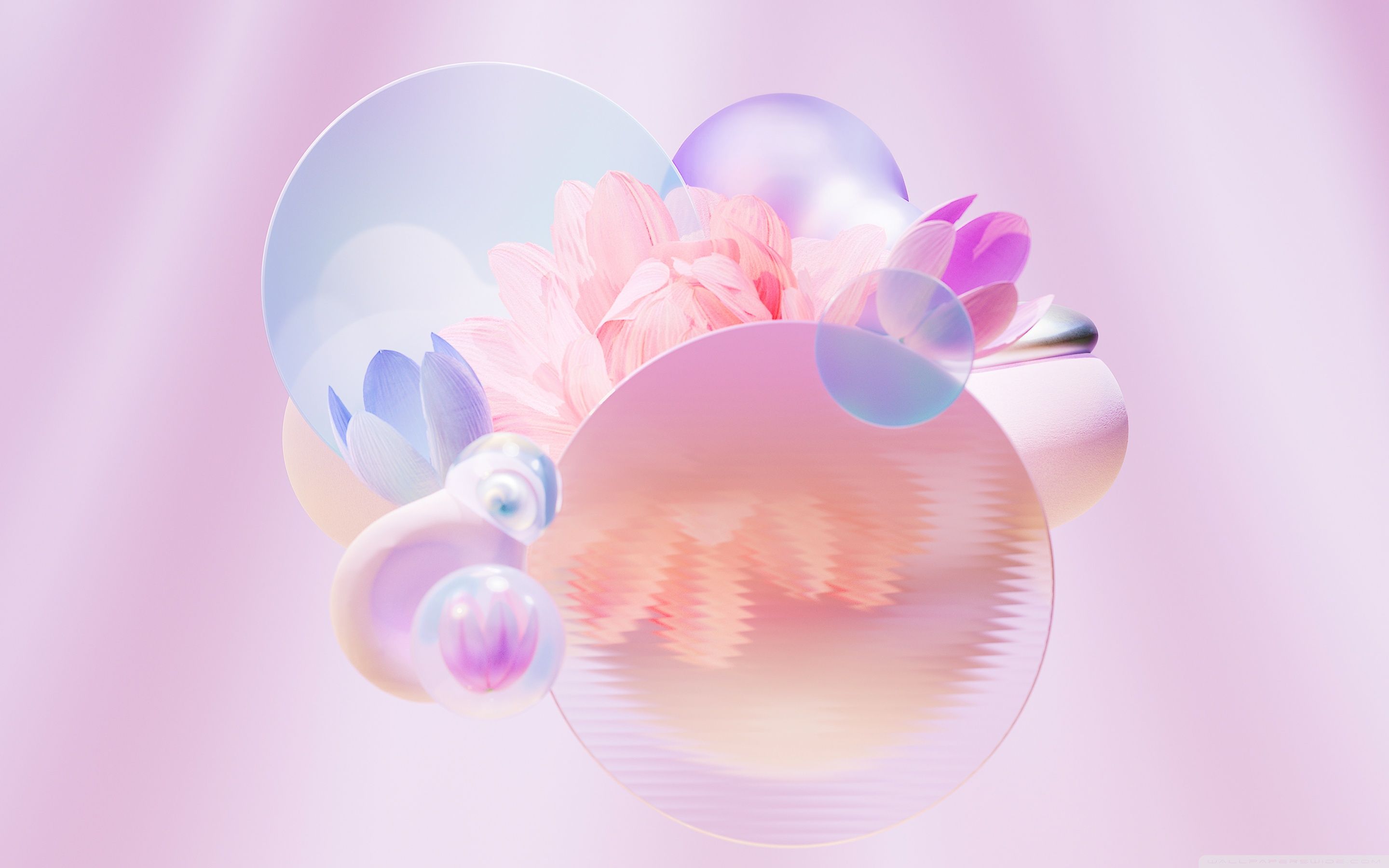 2880x1800 Minimalism, Abstract, Flowers, Circles, Pink, Peach Color 4K UHD Wallpaper for UltraHD Desktop and TV : Widescreen and UltraWide Display : Dual Monitor