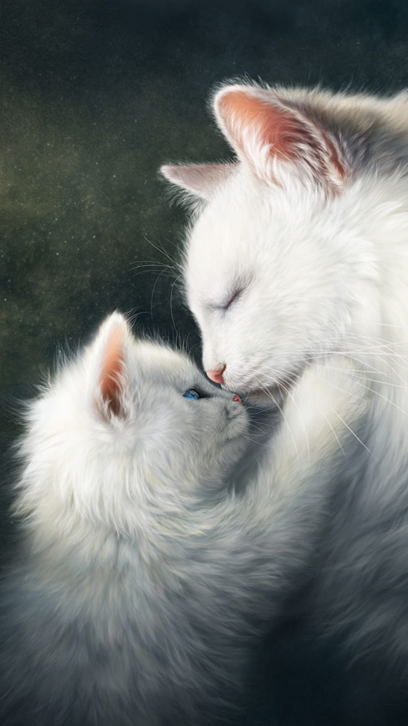 800x1422 Cats, animals, baby, cat, cute, family, kitten, mum, white, HD phone wallpaper