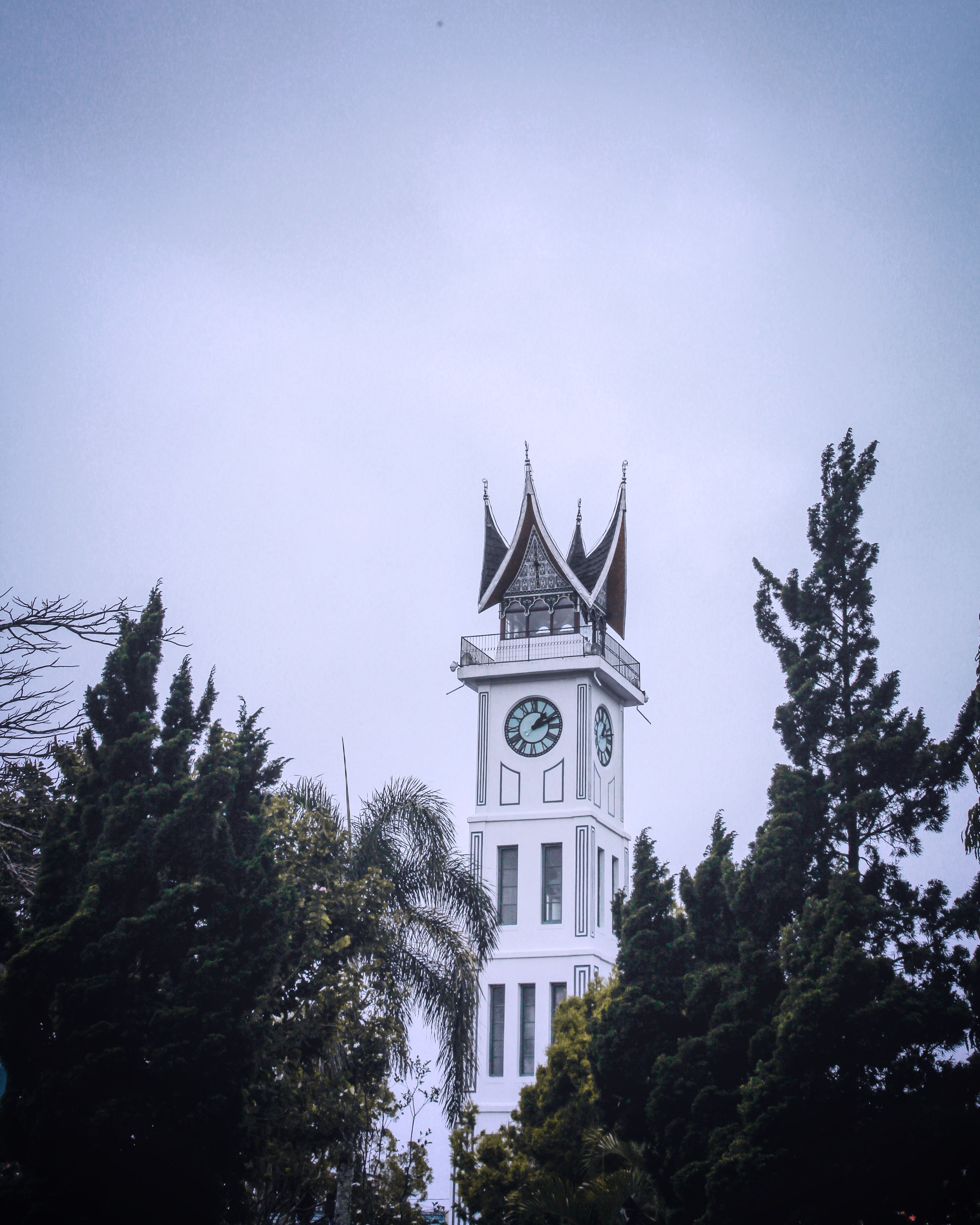 3455x4320 White and Grey Clock Tower · Free