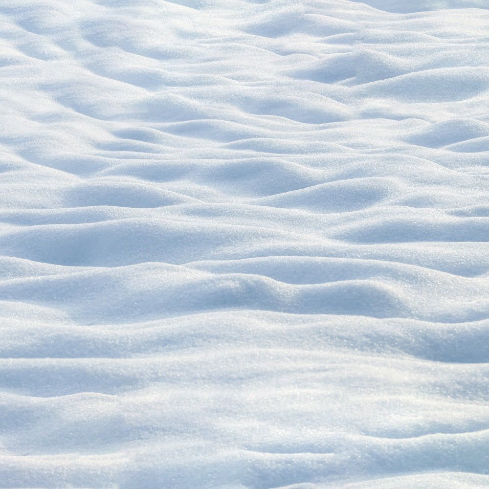 1000x1000 Snowy Winter Wonderland Floor Backdrop RR7- 5'W*3'H(1.5*1m)