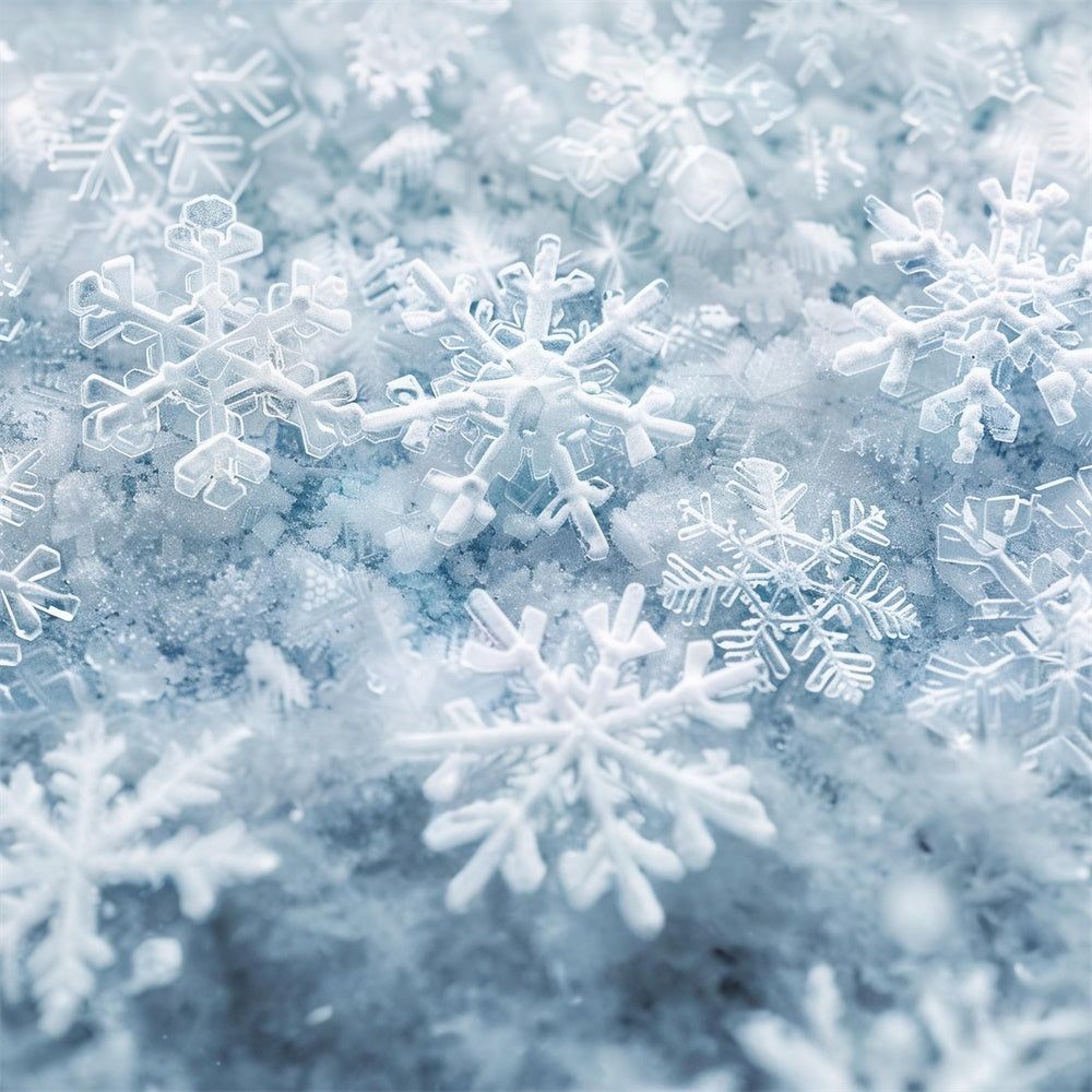 1000x1000 Winter Snowflakes Frosted Floor Backdrop RR8- 5'W*3'H(1.5*1m)