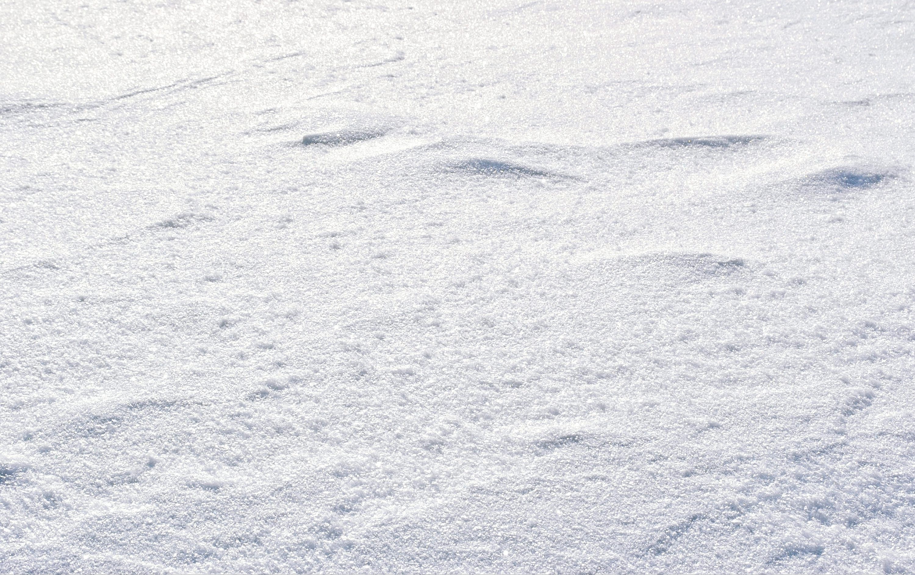 3000x1885 Snow Ground Picture. Download Free Image