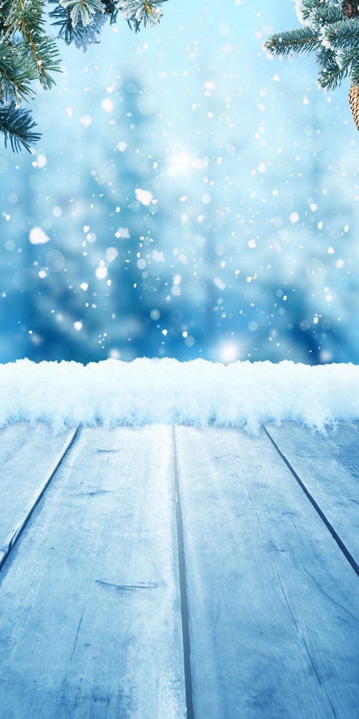 736x1472 Winter Bokeh Snowflake Wood Floor Studio Backdrop J02731. Cozy winter home decor inspiration, Snowy landscape with snowflakes, Snowy winter scene with wooden floor