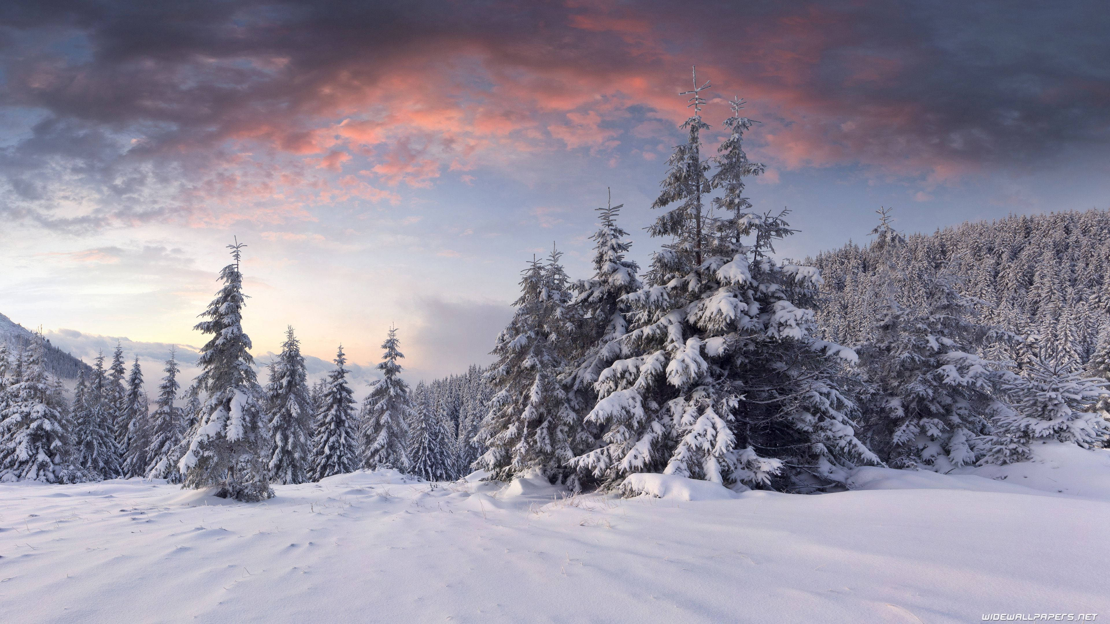 3840x2160 Download 4K 16:9 Winter Snowy Ground Wallpaper