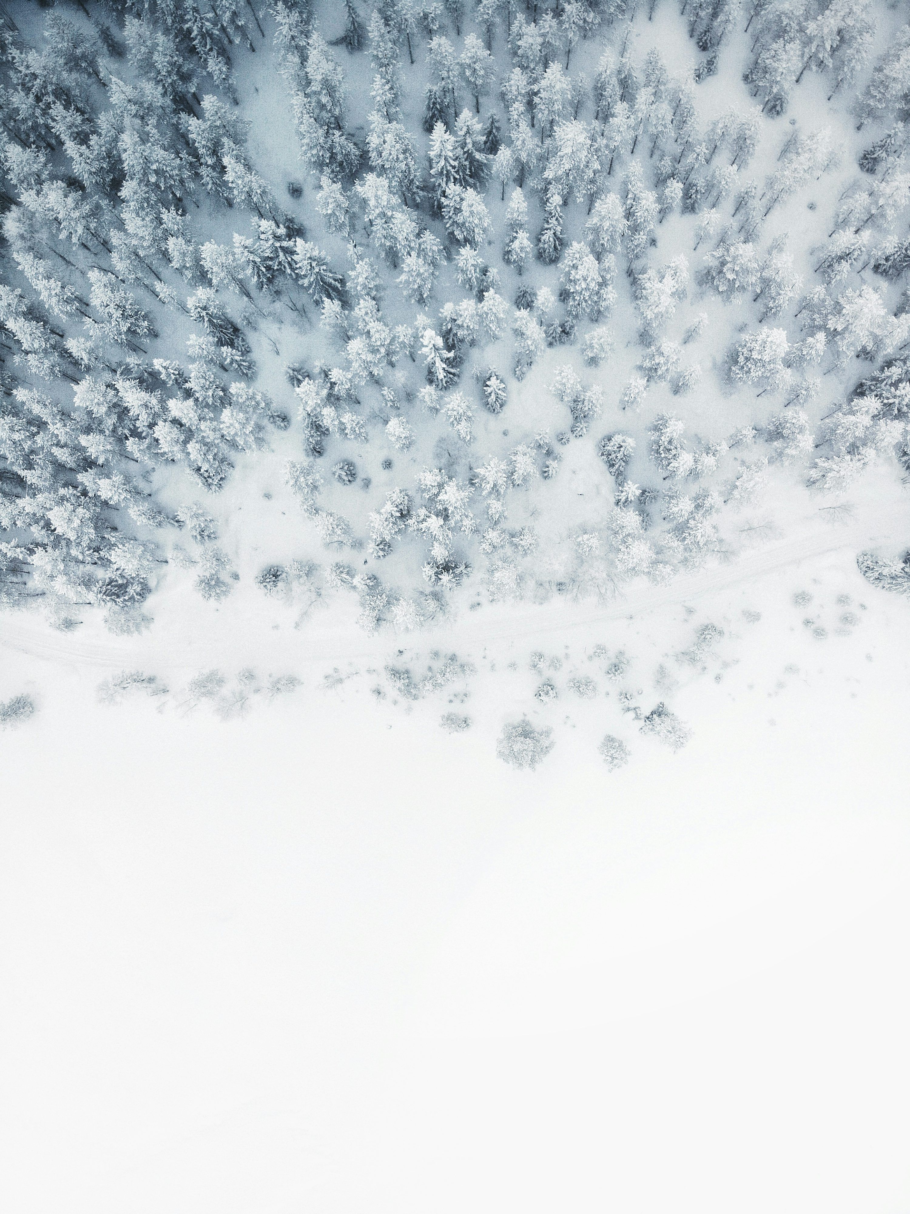 3000x4003 Snow Wallpaper: Free HD Download [4K]