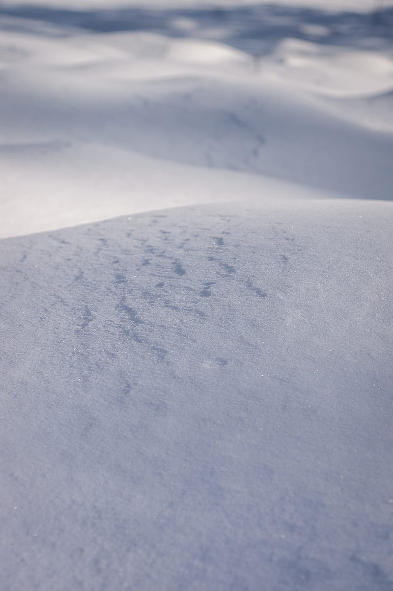 800x1203 Snow, hills, white, winter, HD phone wallpaper