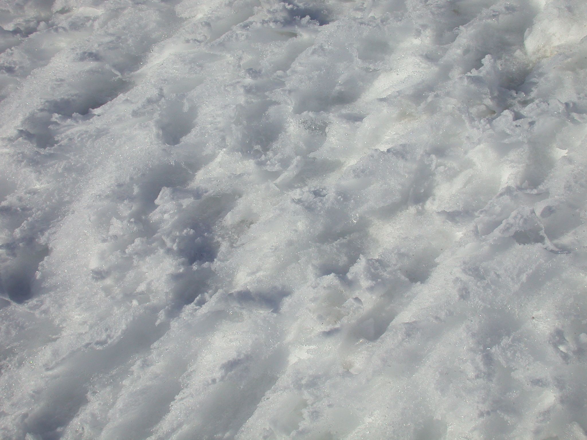 2048x1536 Image*After : texture : ice snow crisp floor blanket white track tracks groove grooves