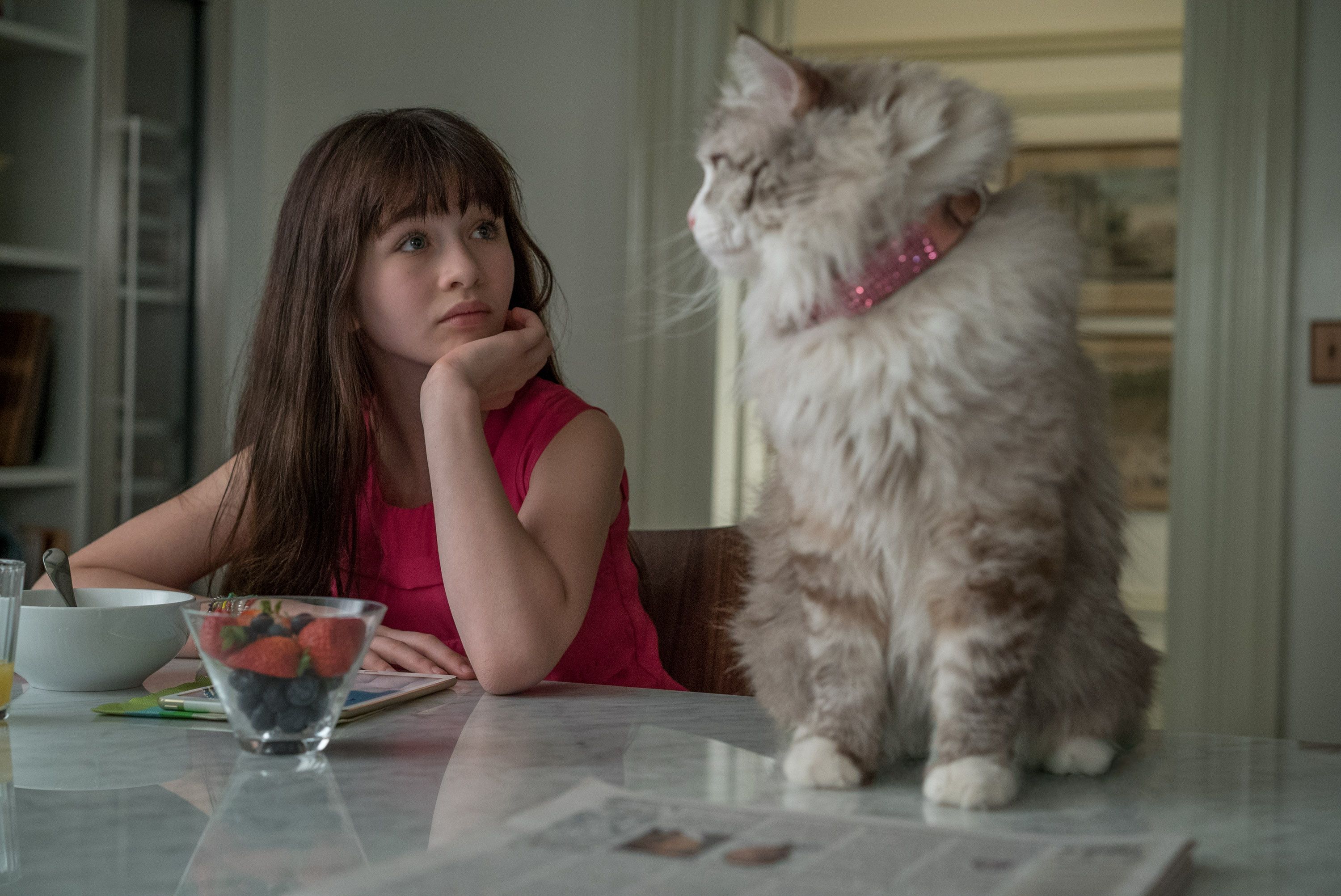 3000x2004 Malina Weissman Picture and Image