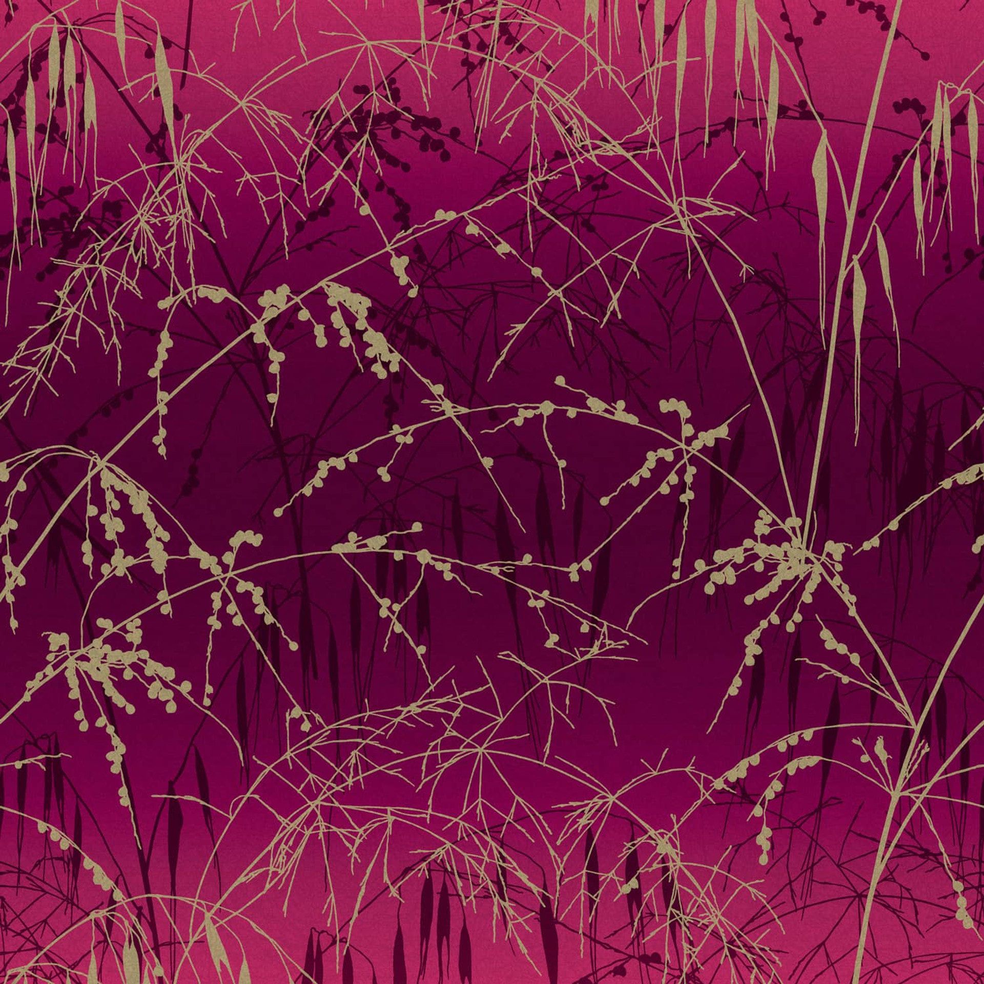 1920x1920 Clarissa Hulse Grass Wallpaper