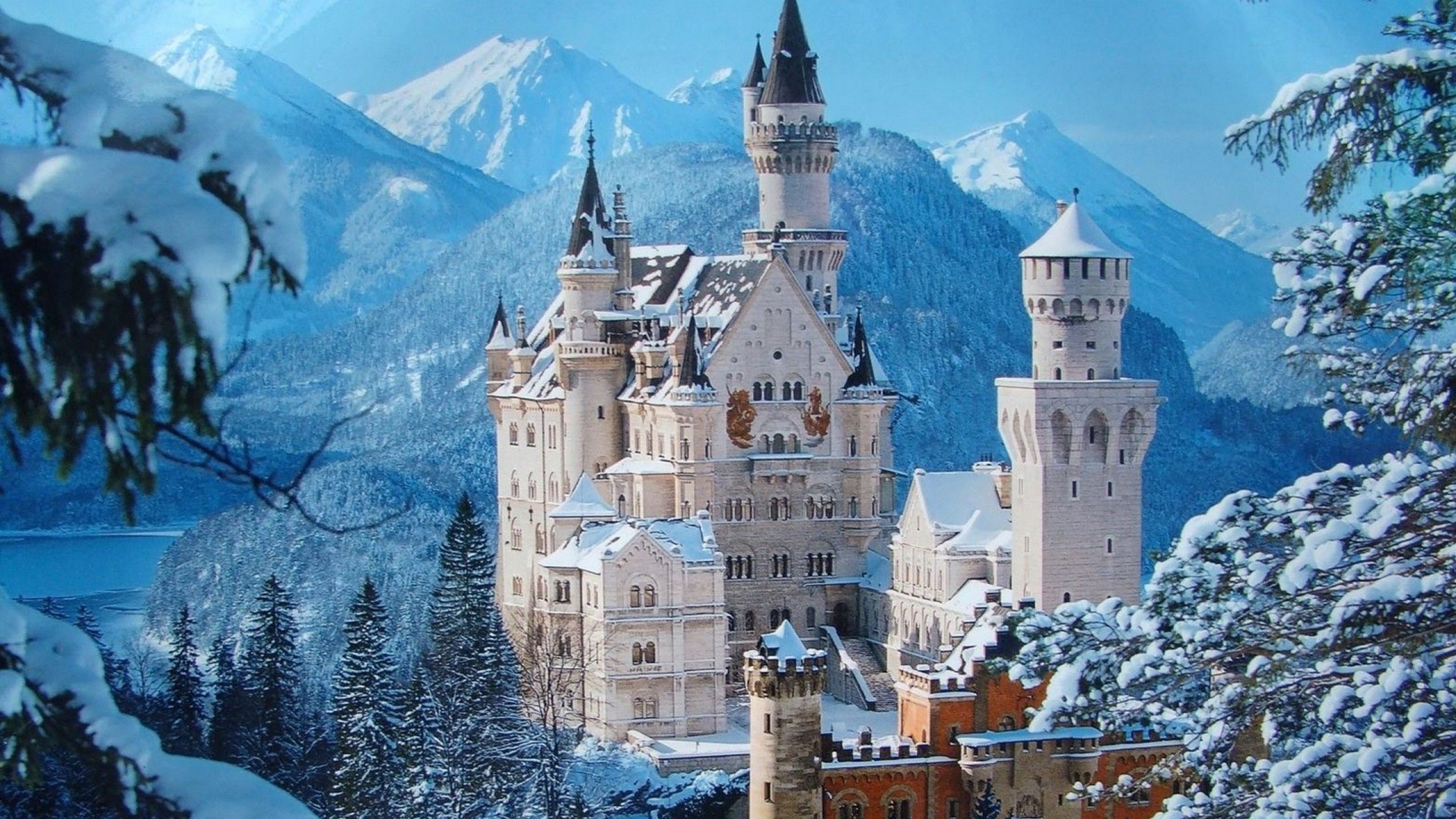 2560x1440 Desktop wallpaper: Germany, Winter, Bavaria, Neuschwanstein Castle, Man Made, Castle, Castles 4K free download for PC. 350693
