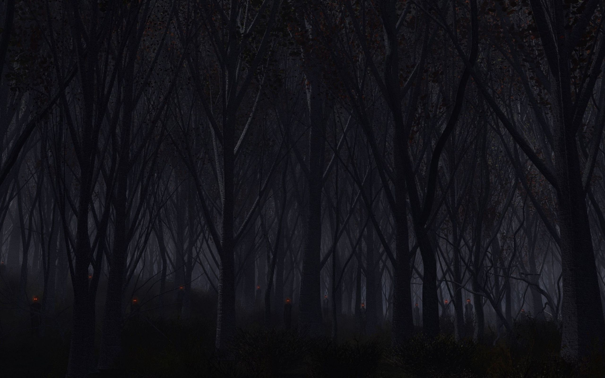 2560x1600 Forest Dark Wallpaper, 2560x1600 Resolution HD 4k Wallpaper , Image, Background, Photos and Picture