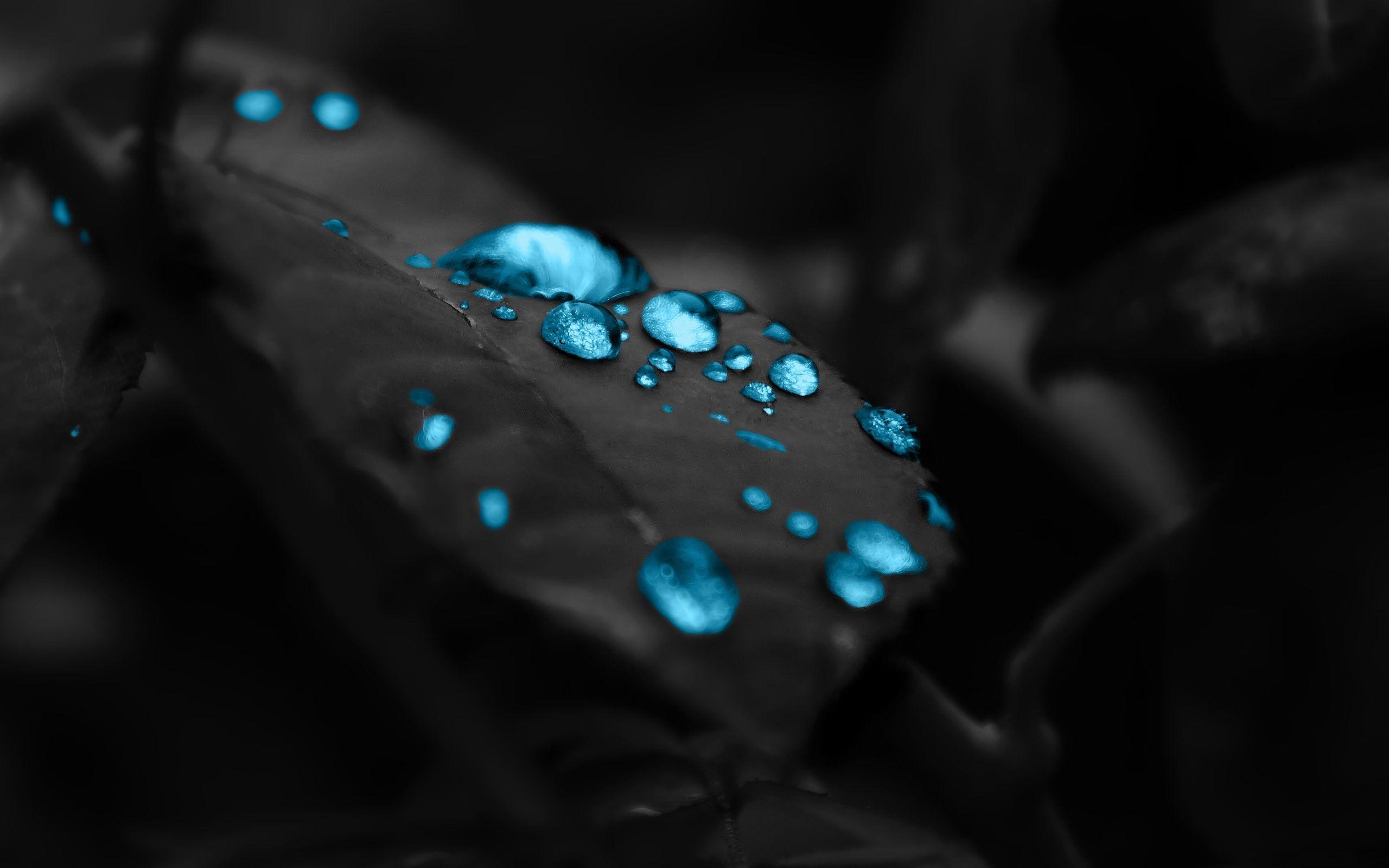 2560x1600 Wallpaper 2560x1600 HD