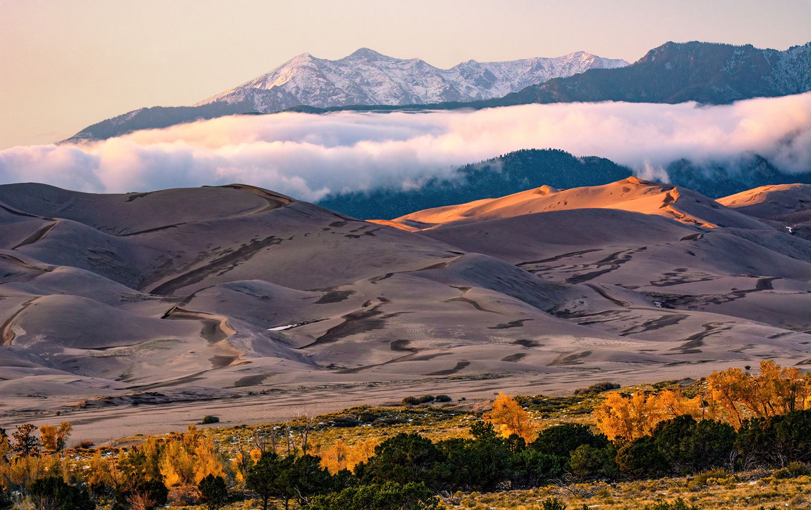 1600x1006 Photos & Multimedia Sand Dunes National Park & Preserve (U.S. National Park Service)