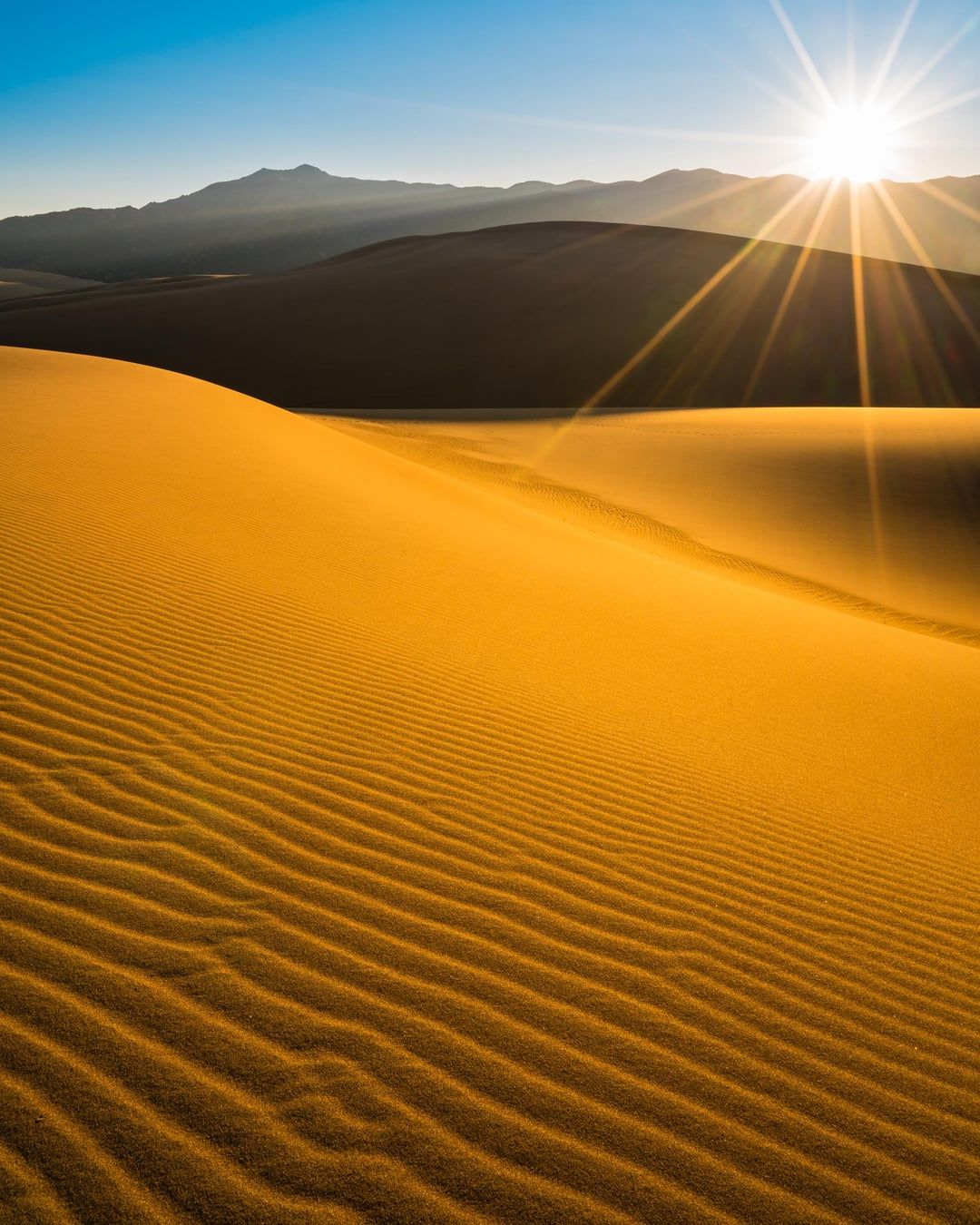 1080x1350 Sunrise hiking in the Great Sand Dunes National Park, Mosca, Co. {OC} (2400x3000)