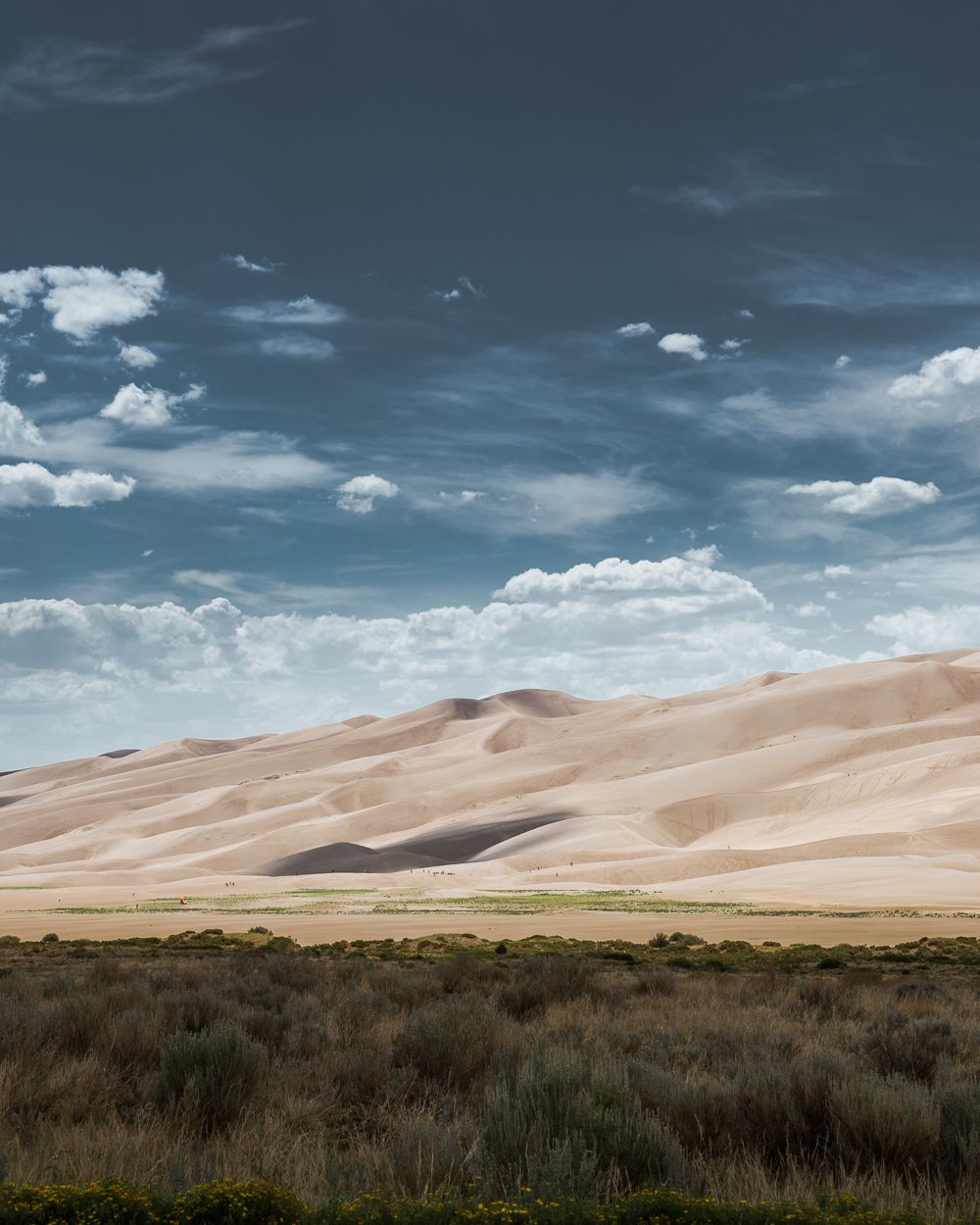 1000x1250 Great Sand Dunes National Park Field Trip