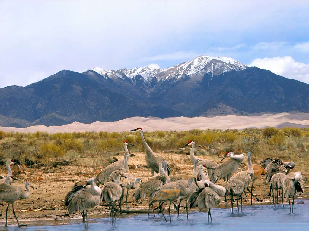 1024x768 Mt herard, Great sand dunes national park and preserve Image: PICRYL Domain Media Search Engine Public Domain Search