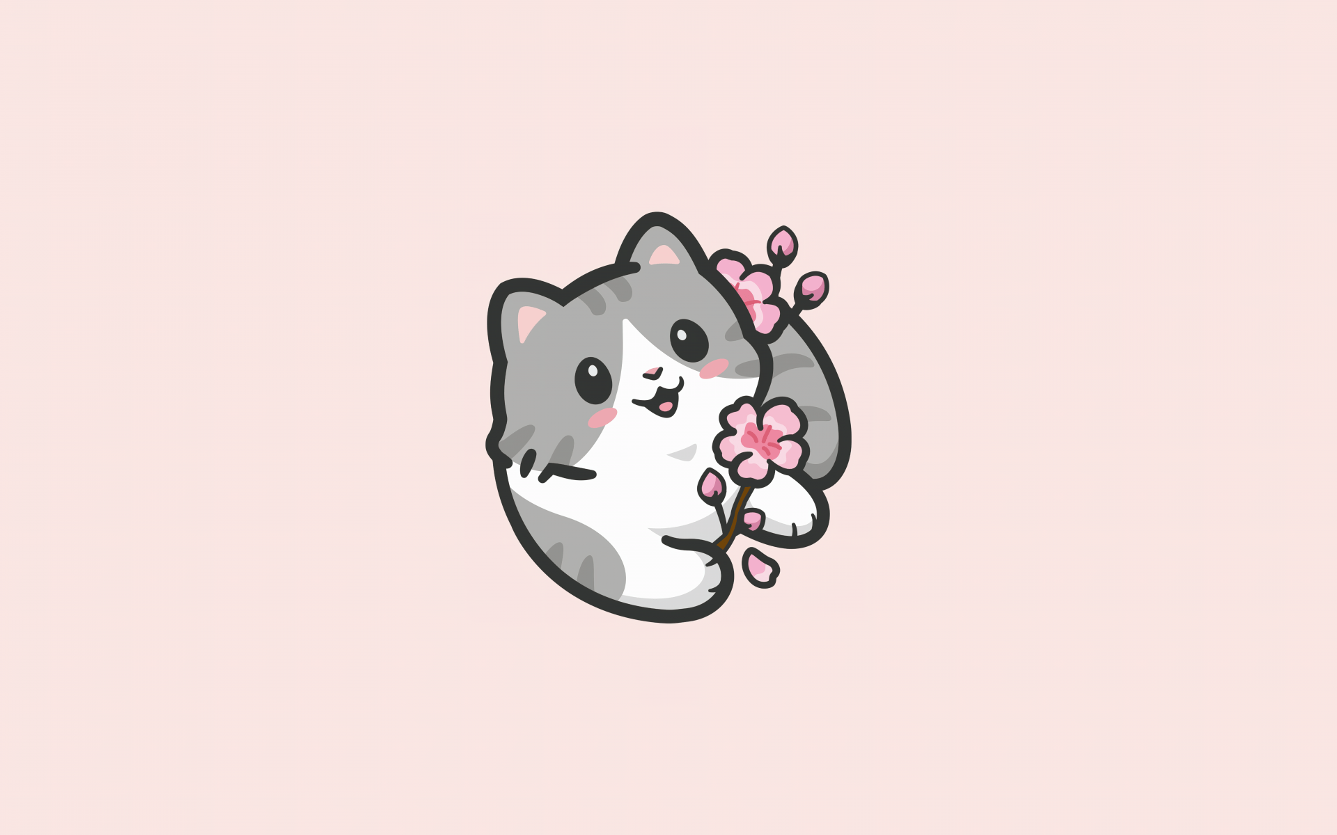 1920x1200 Cute Kitten Wallpaper 4K, Cute Cat, Girly background, 5K