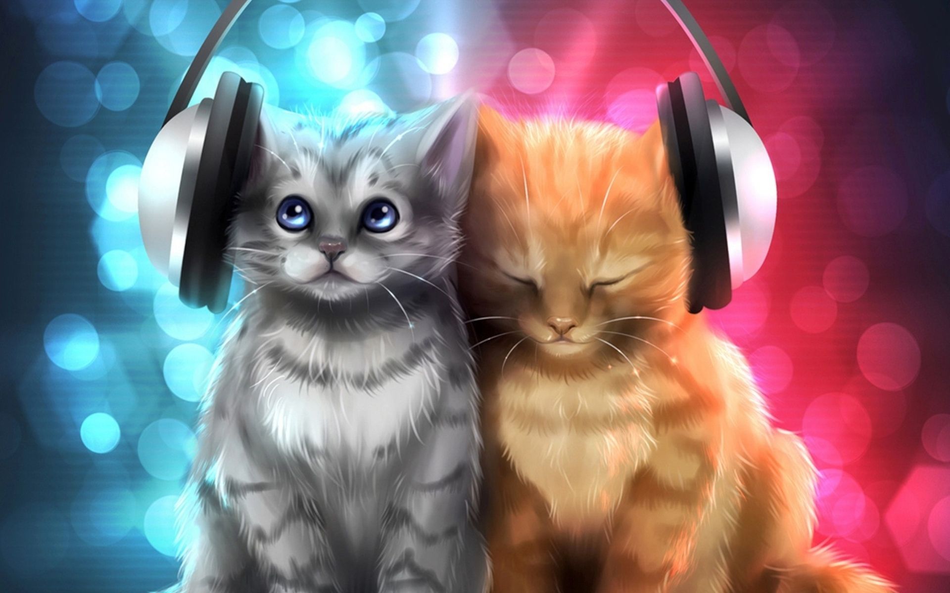 1920x1200 Chillout Cats HD Wallpaperx1200