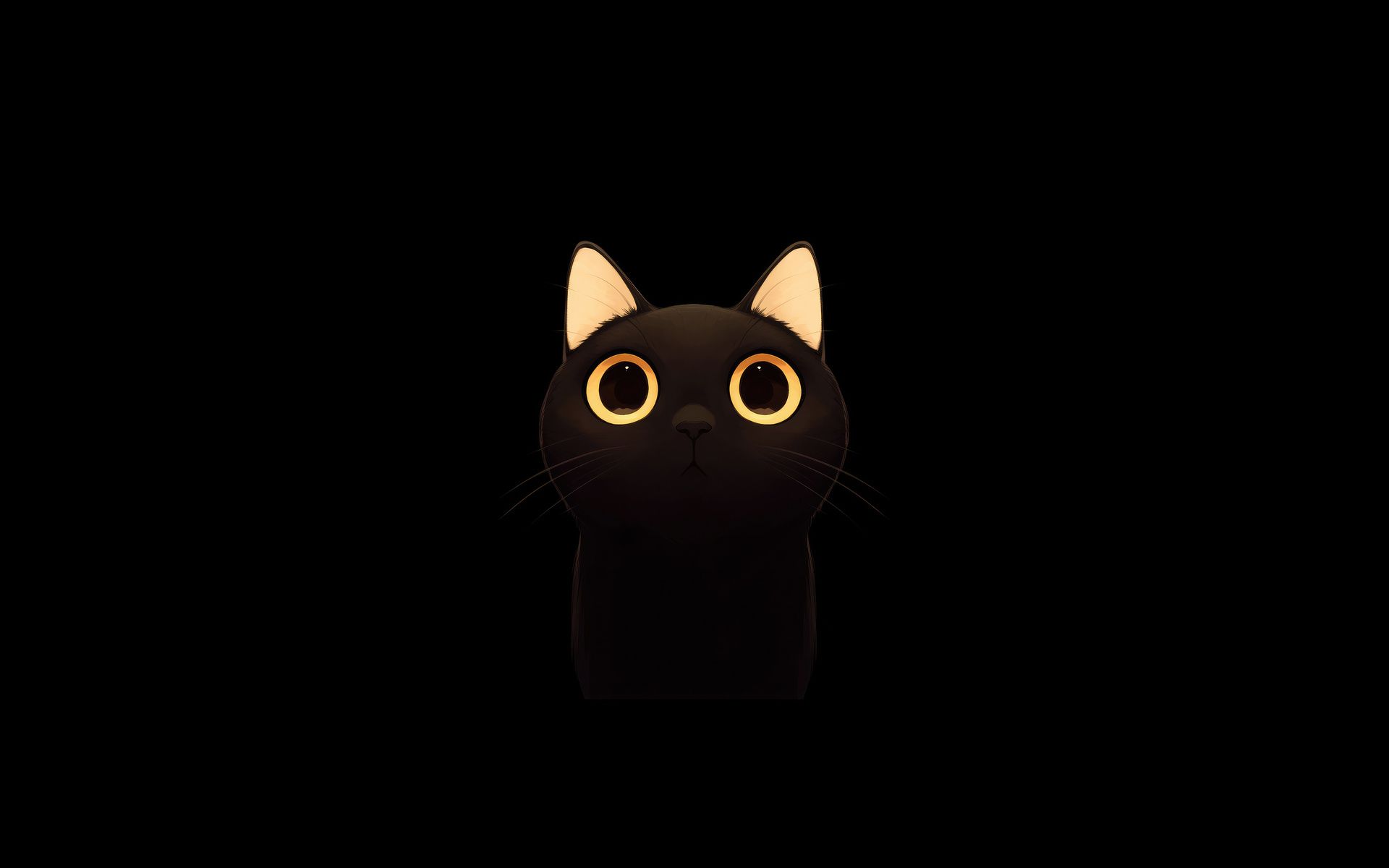 1920x1200 Cute Cat Minimal 5k 1080P Resolution , HD 4k Wallpaper, Image, Background, Photos and Picture