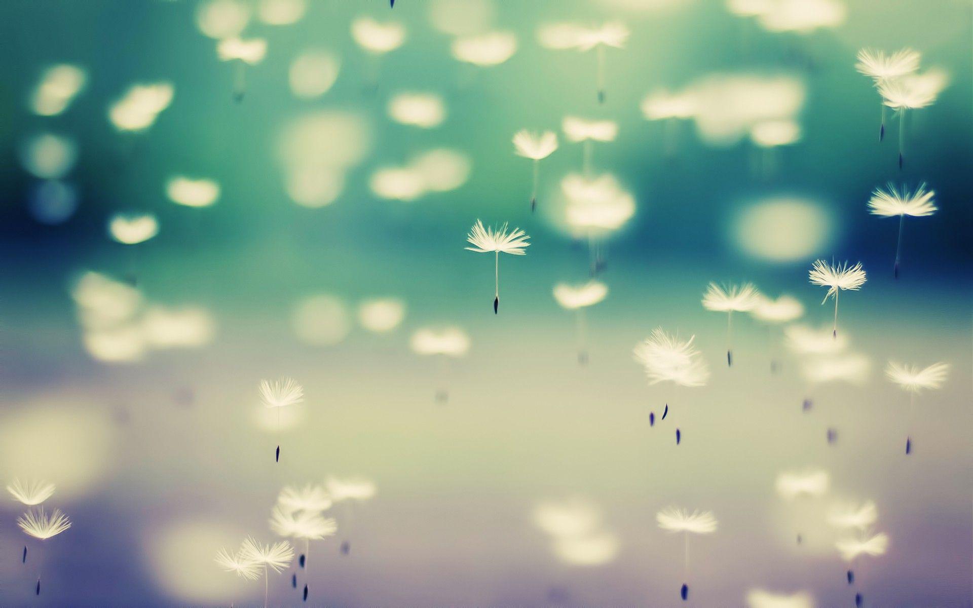 1920x1200 Background HD Cute