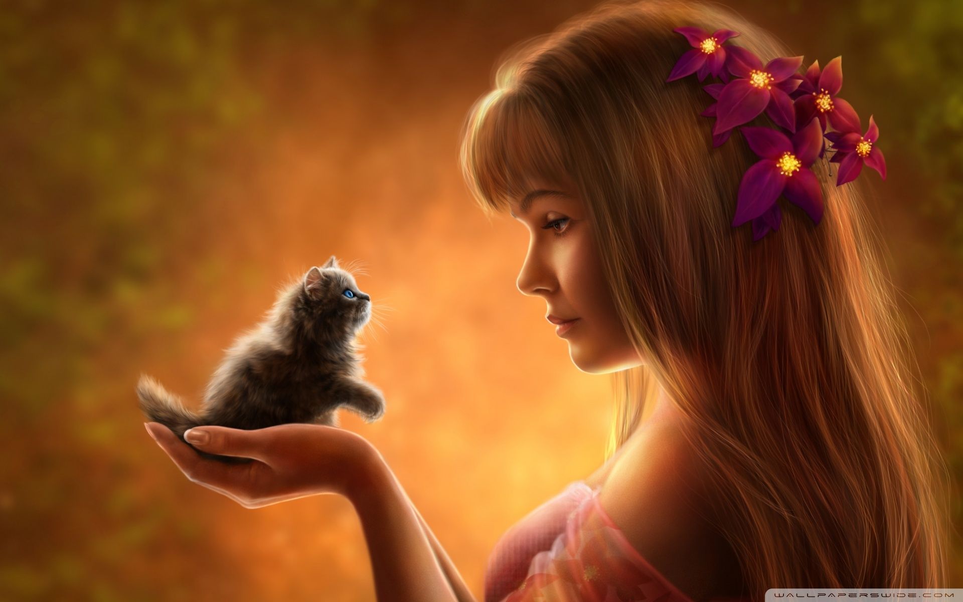 1920x1200 Cutest Kitten 4K UHD Wallpaper for UltraHD Desktop and TV : Widescreen and UltraWide Display : Dual Monitor : Smartphone and Tablet Devices
