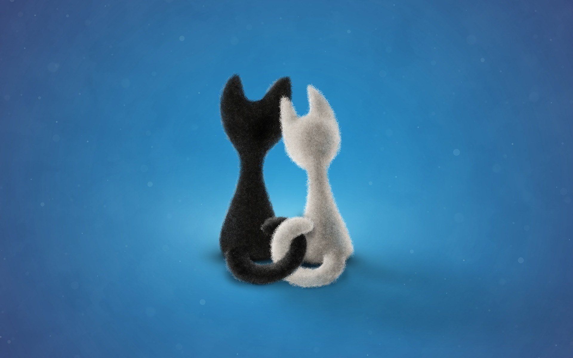 1920x1200 Download Animal Cat HD Wallpaperx1200