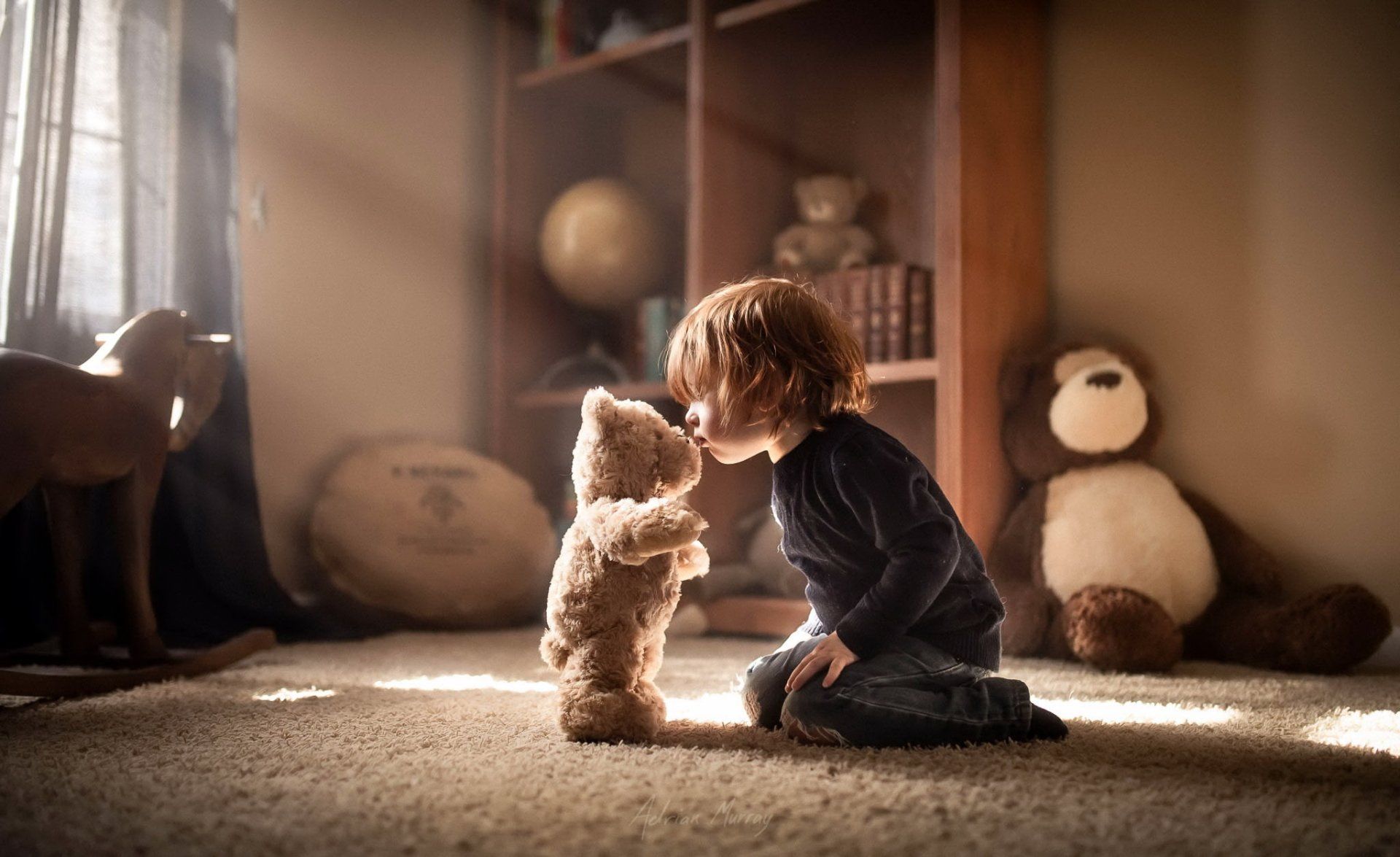 1920x1175 Sunlit Moments: Little Boy and Teddy Bear in Warm HD Glowx1253